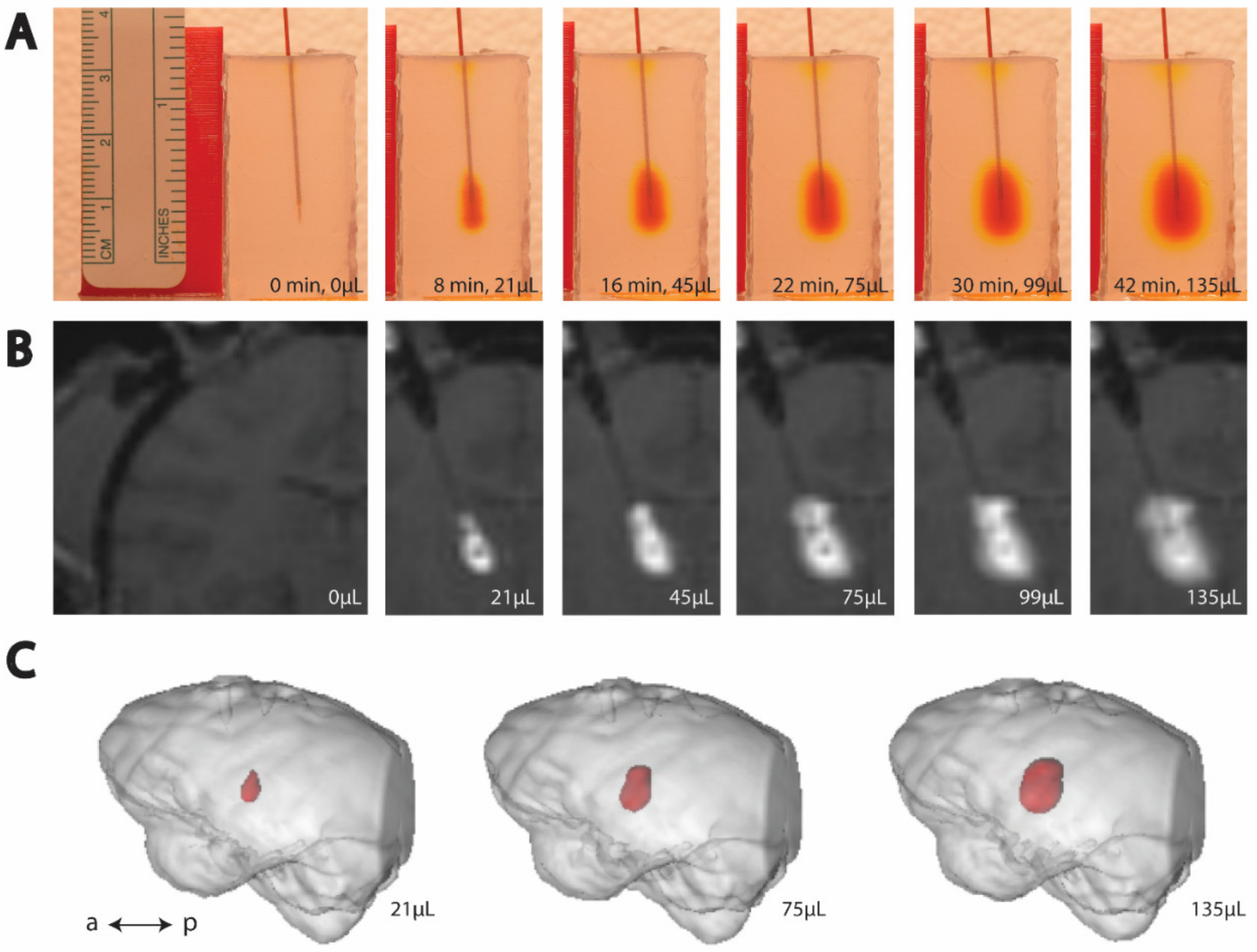 Pharmaceutics 14 01435 g002 Pharmaceutics 14 01435 g002