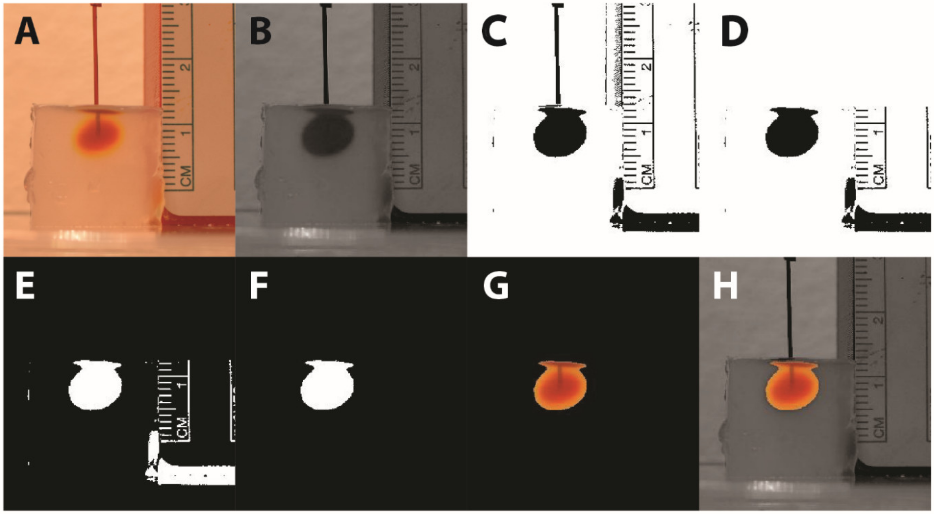 Pharmaceutics 14 01435 g003 Pharmaceutics 14 01435 g003