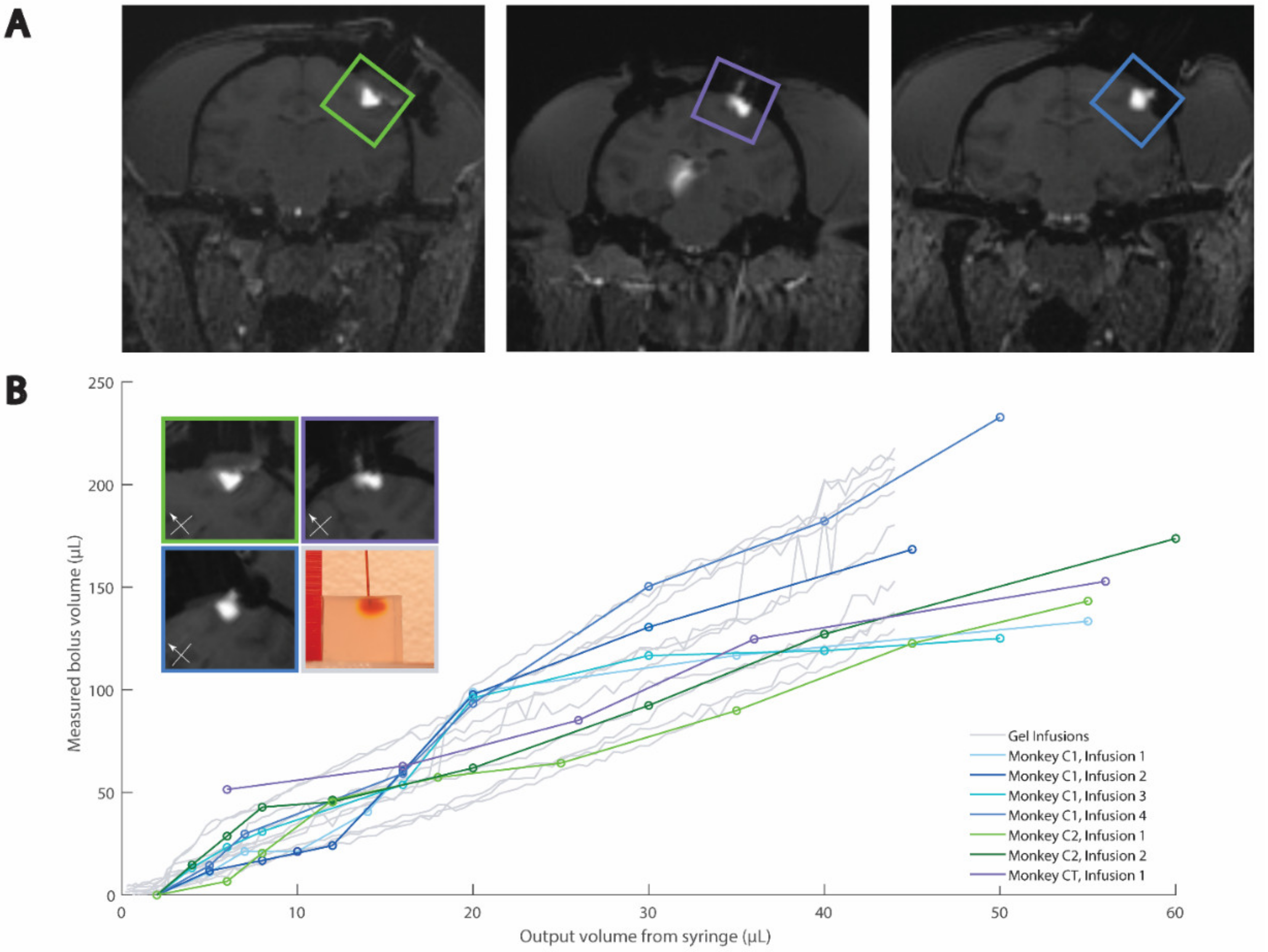 Pharmaceutics 14 01435 g004 Pharmaceutics 14 01435 g004