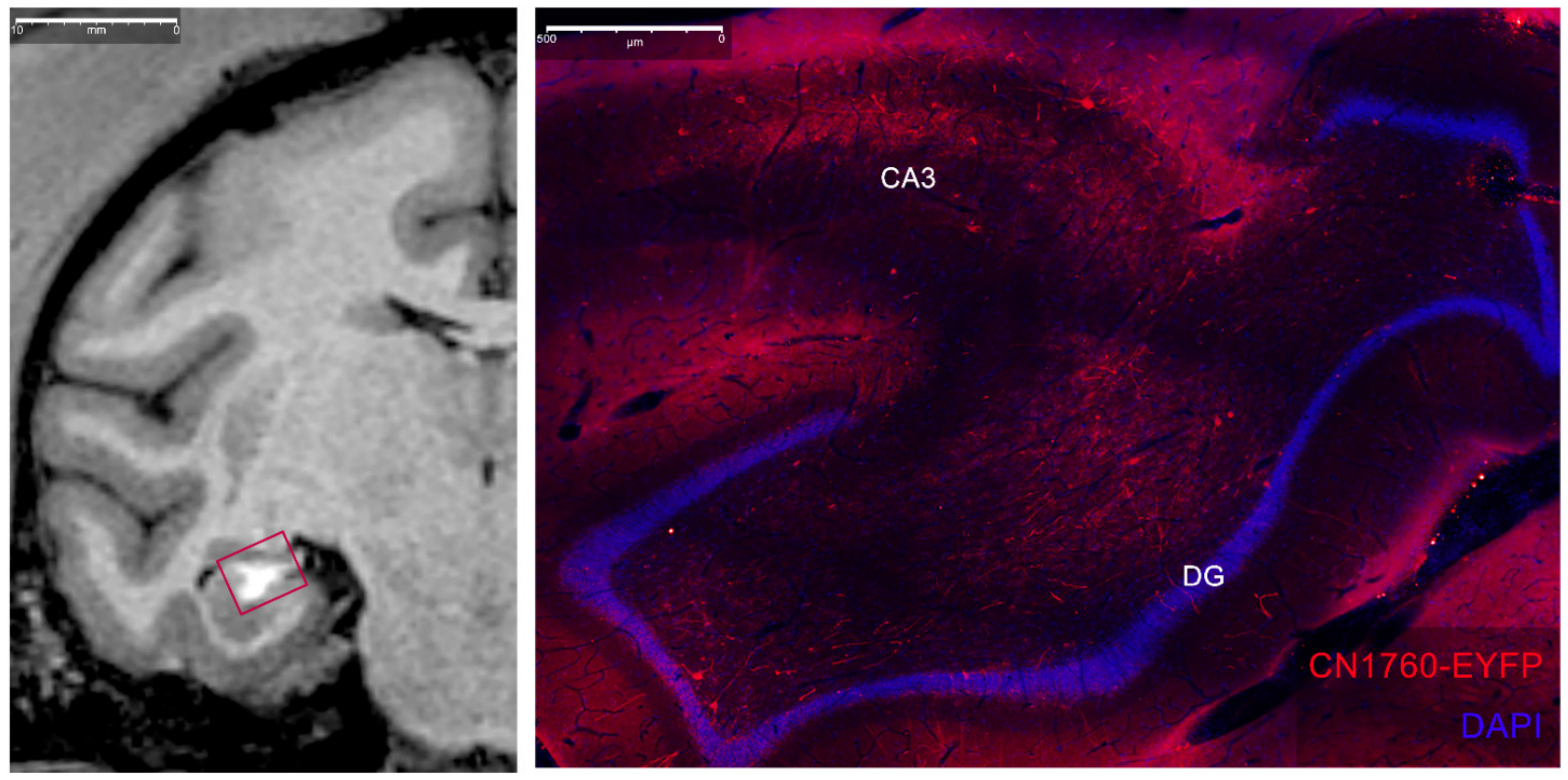 Pharmaceutics 14 01435 g008 Pharmaceutics 14 01435 g008