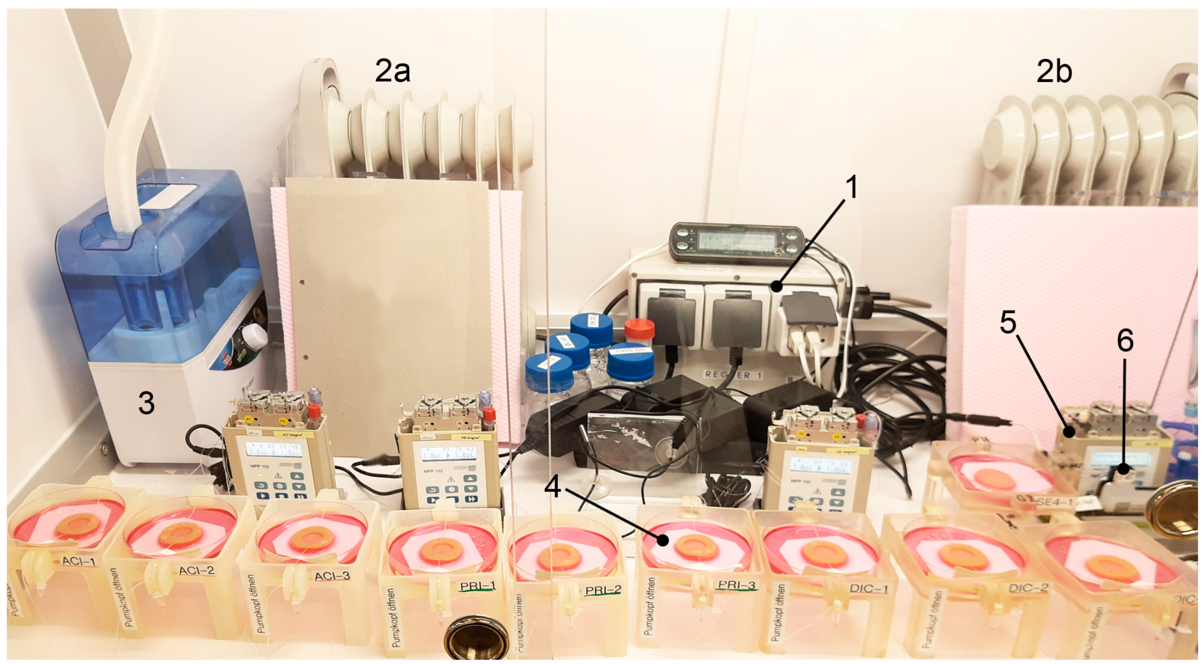 Pharmaceutics 14 01436 g001 550