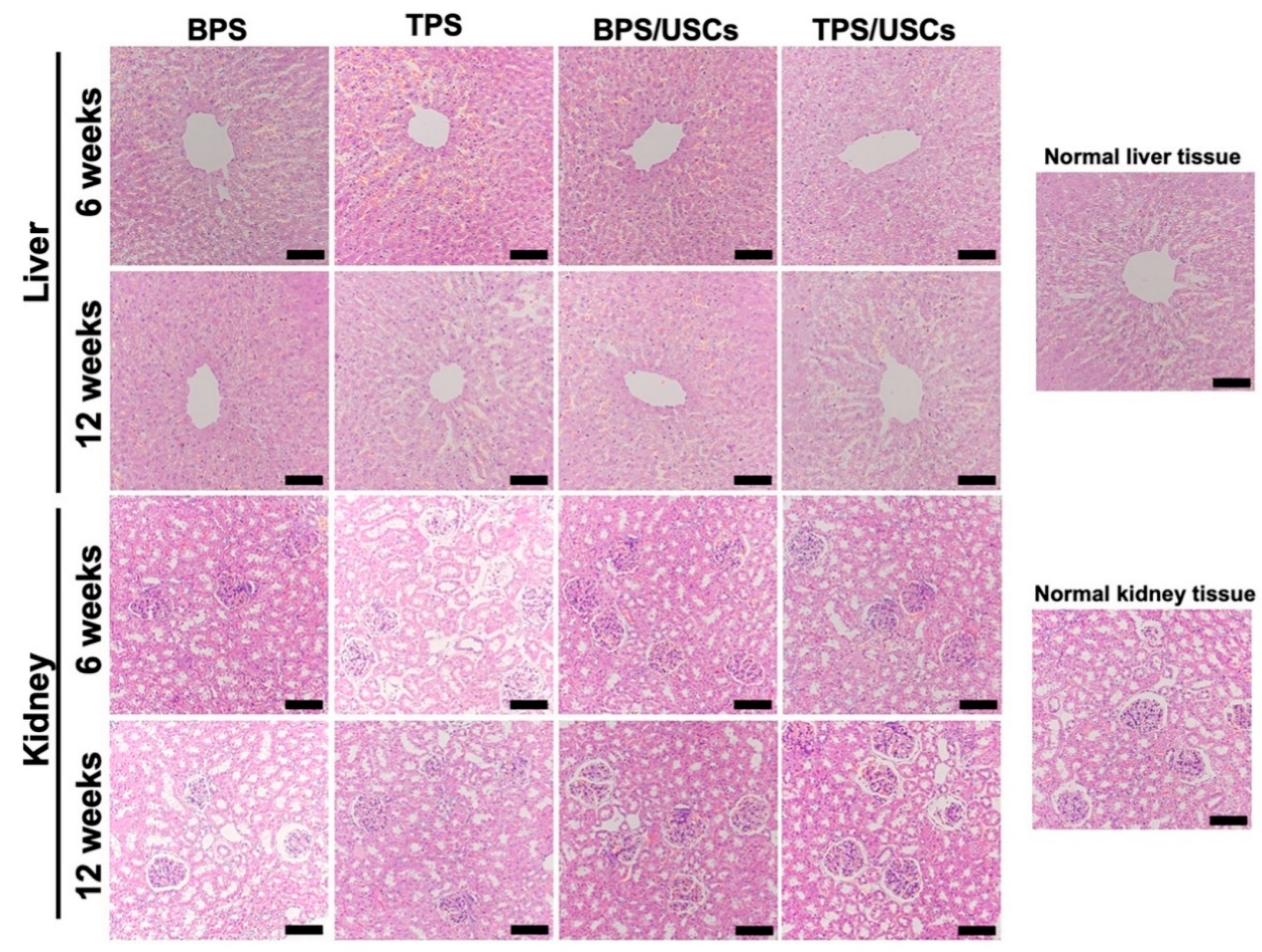 Pharmaceutics 14 01437 g007
