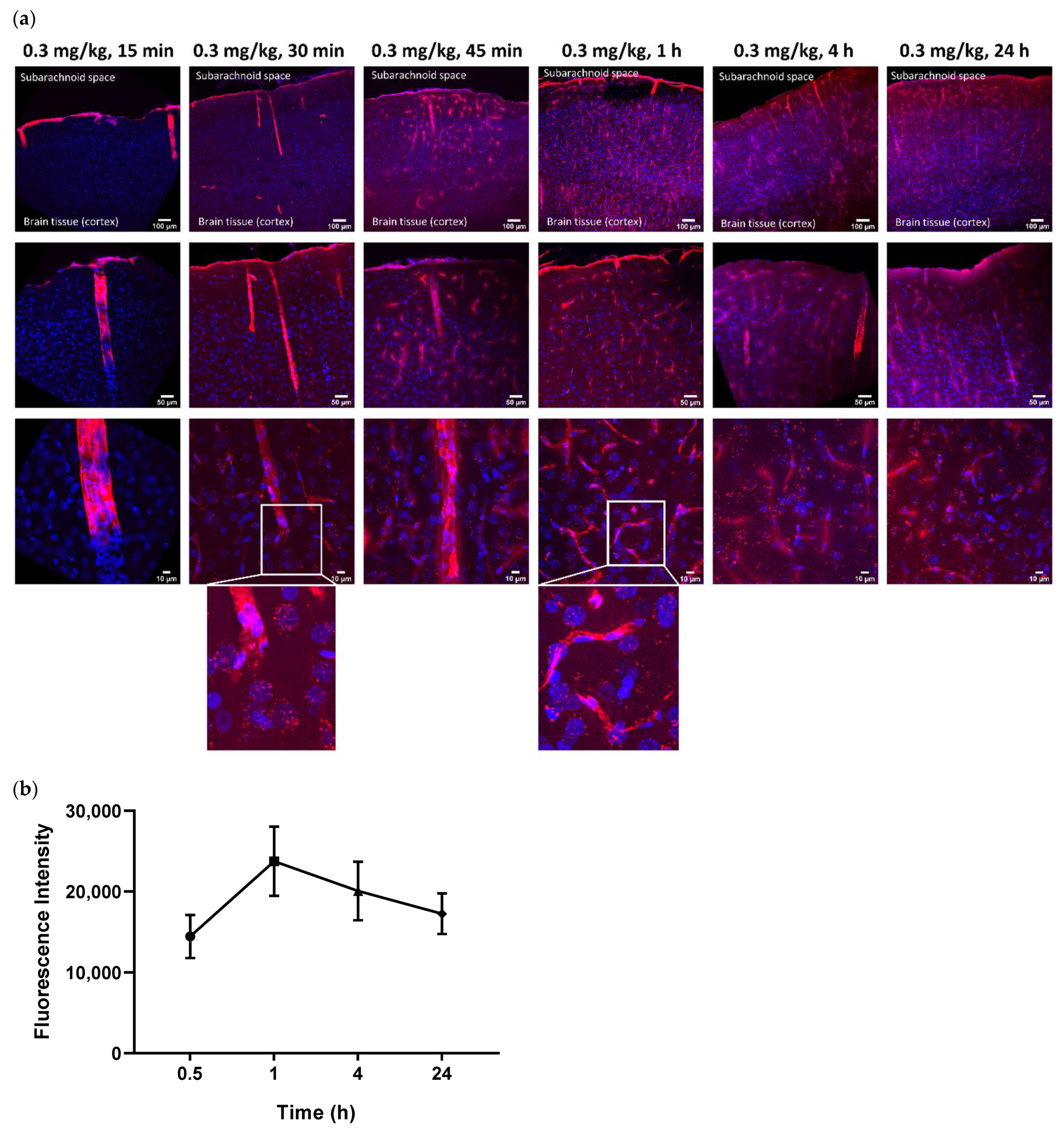 Pharmaceutics 14 01441 g001 550