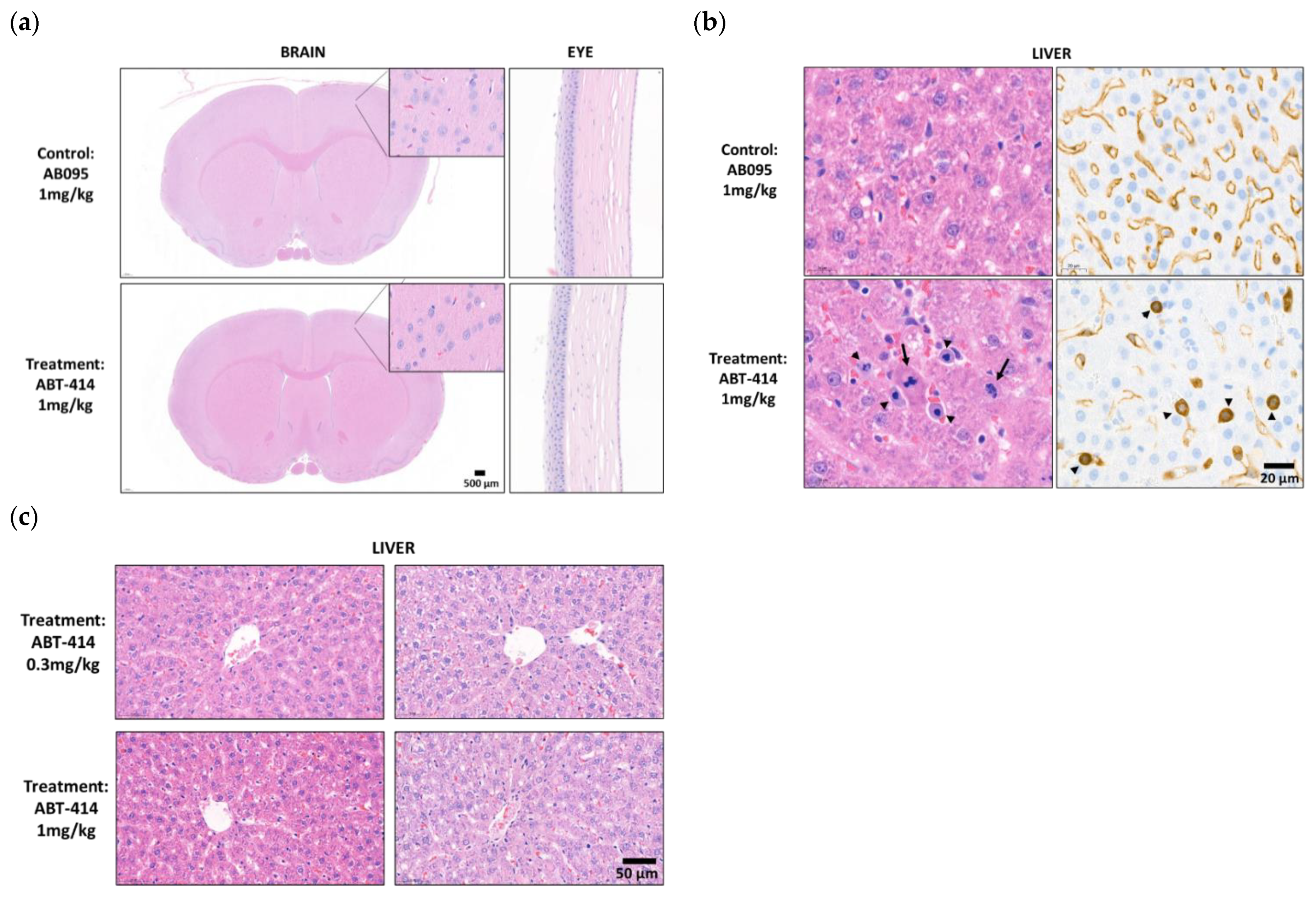 Pharmaceutics 14 01441 g005 550