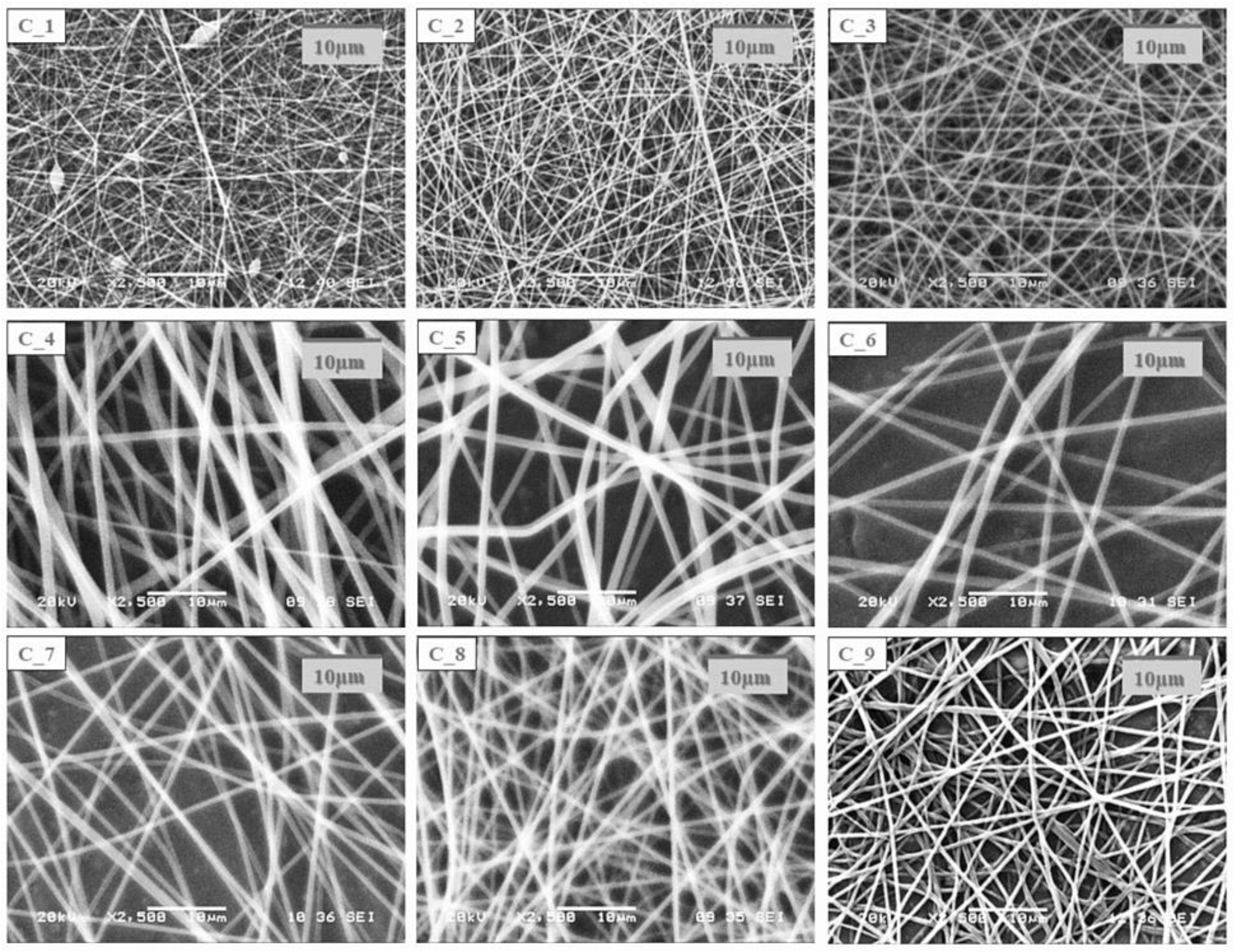 Pharmaceutics 14 01442 g001 550