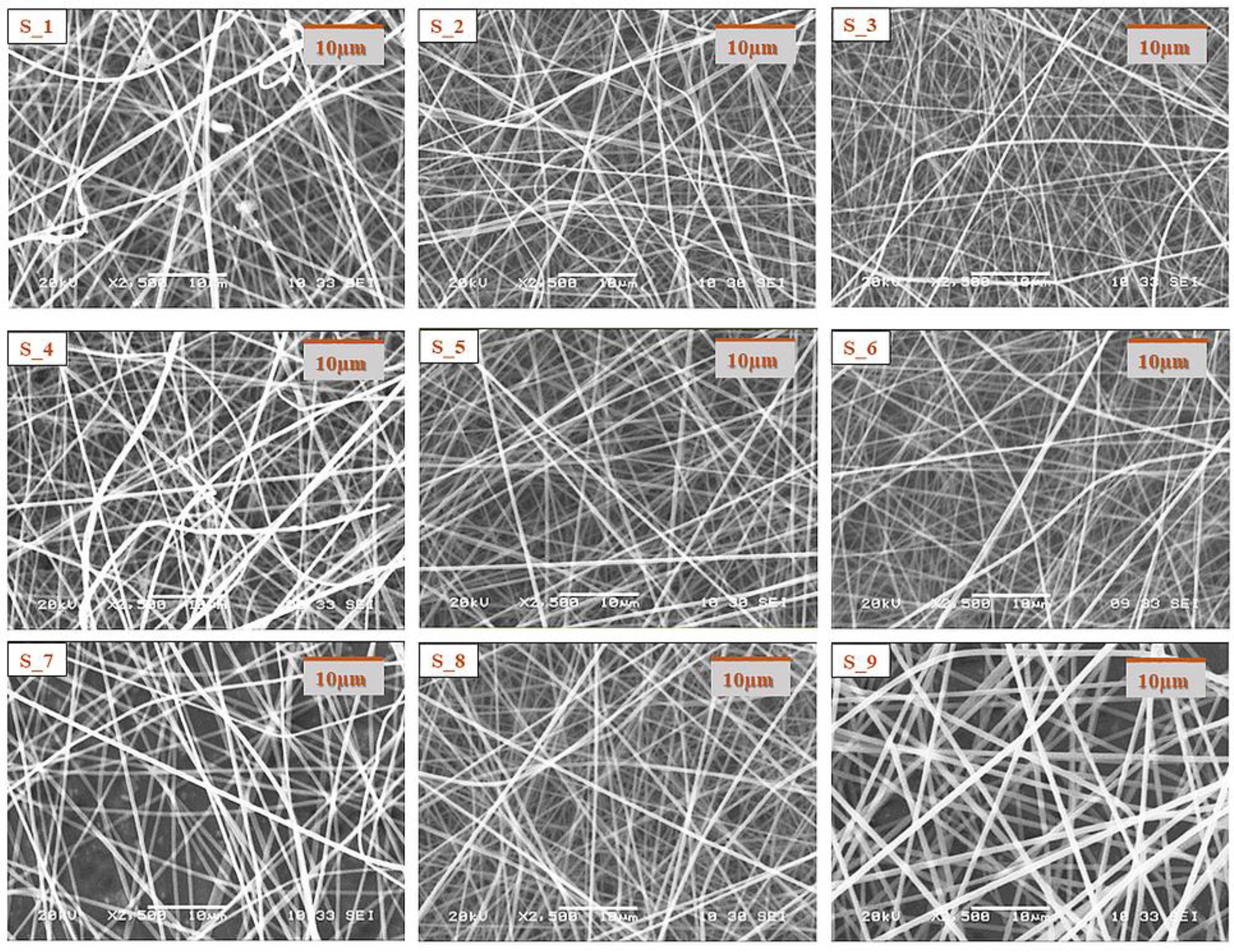 Pharmaceutics 14 01442 g002 550