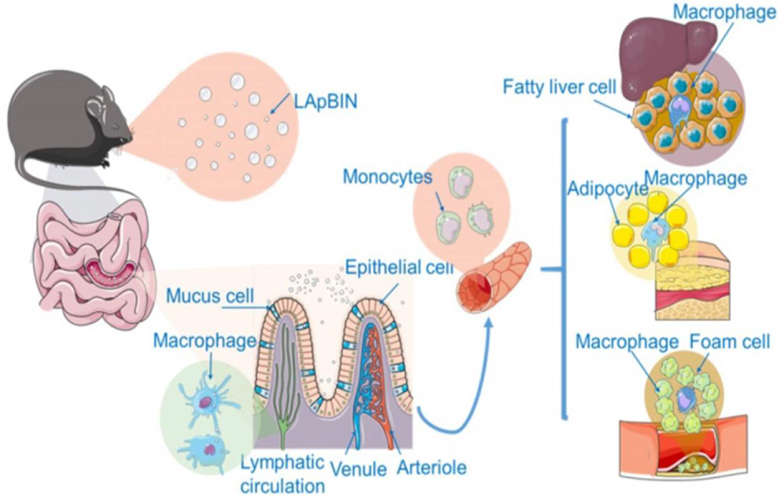 Pharmaceutics 14 01445 g004