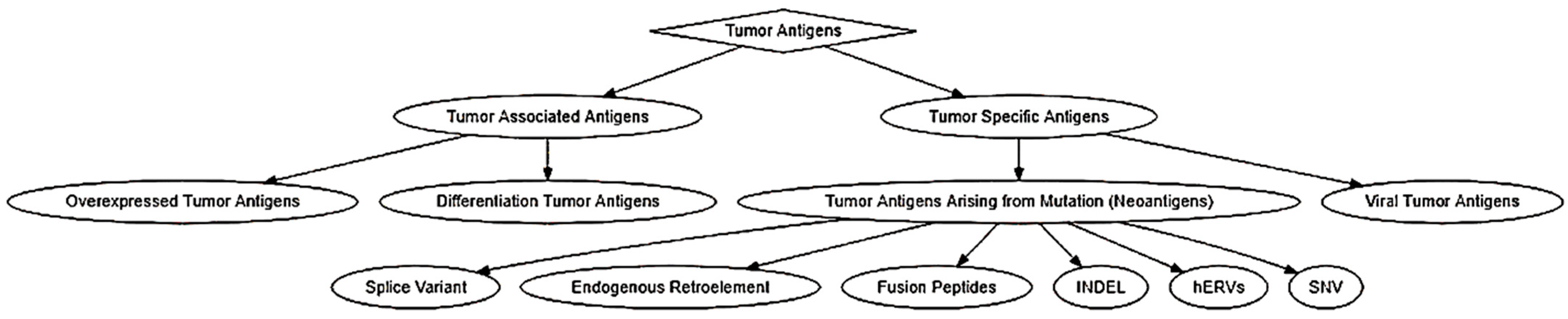 Pharmaceutics 14 01448 g001