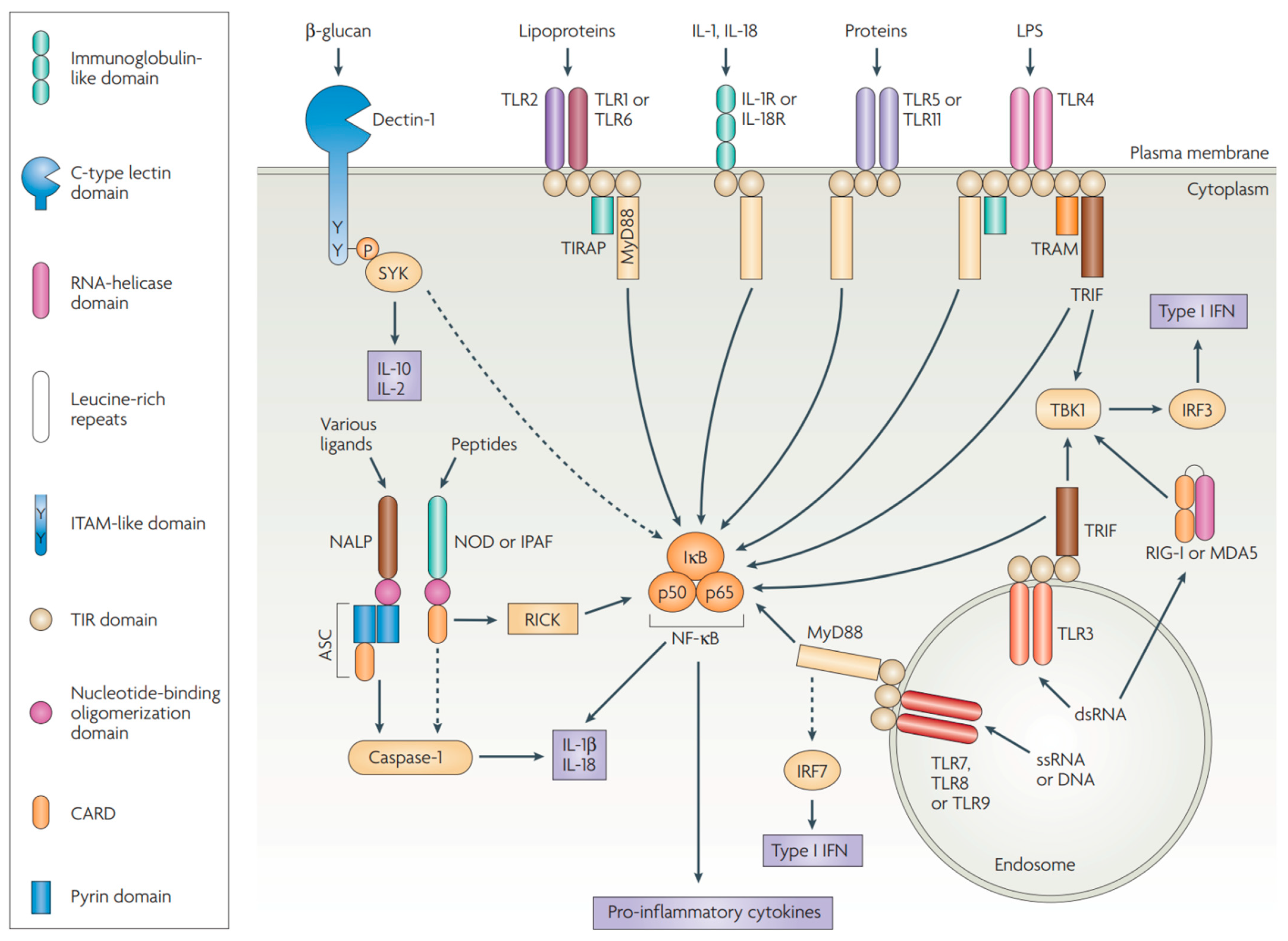 Pharmaceutics 14 01448 g003