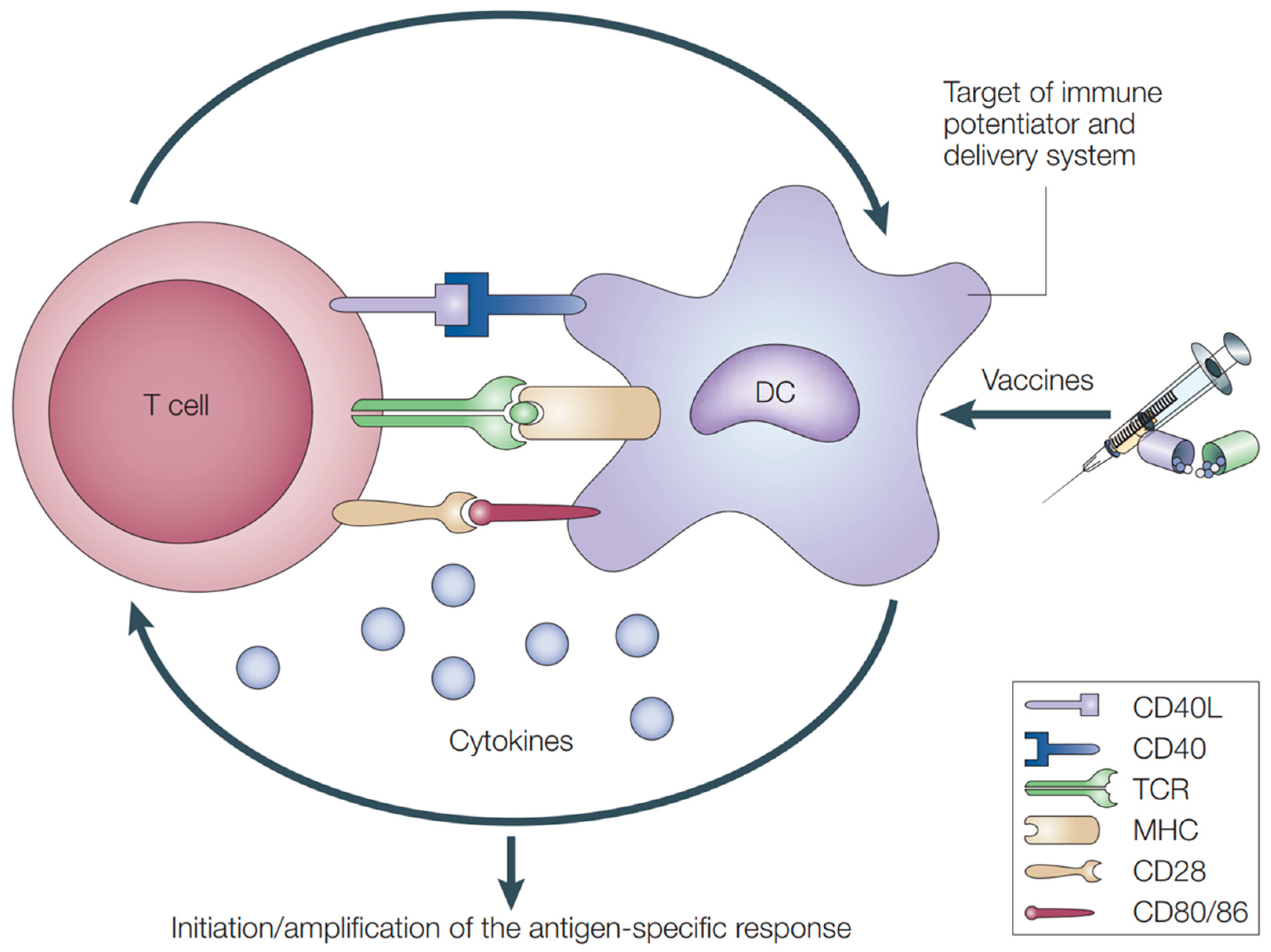 Pharmaceutics 14 01448 g004