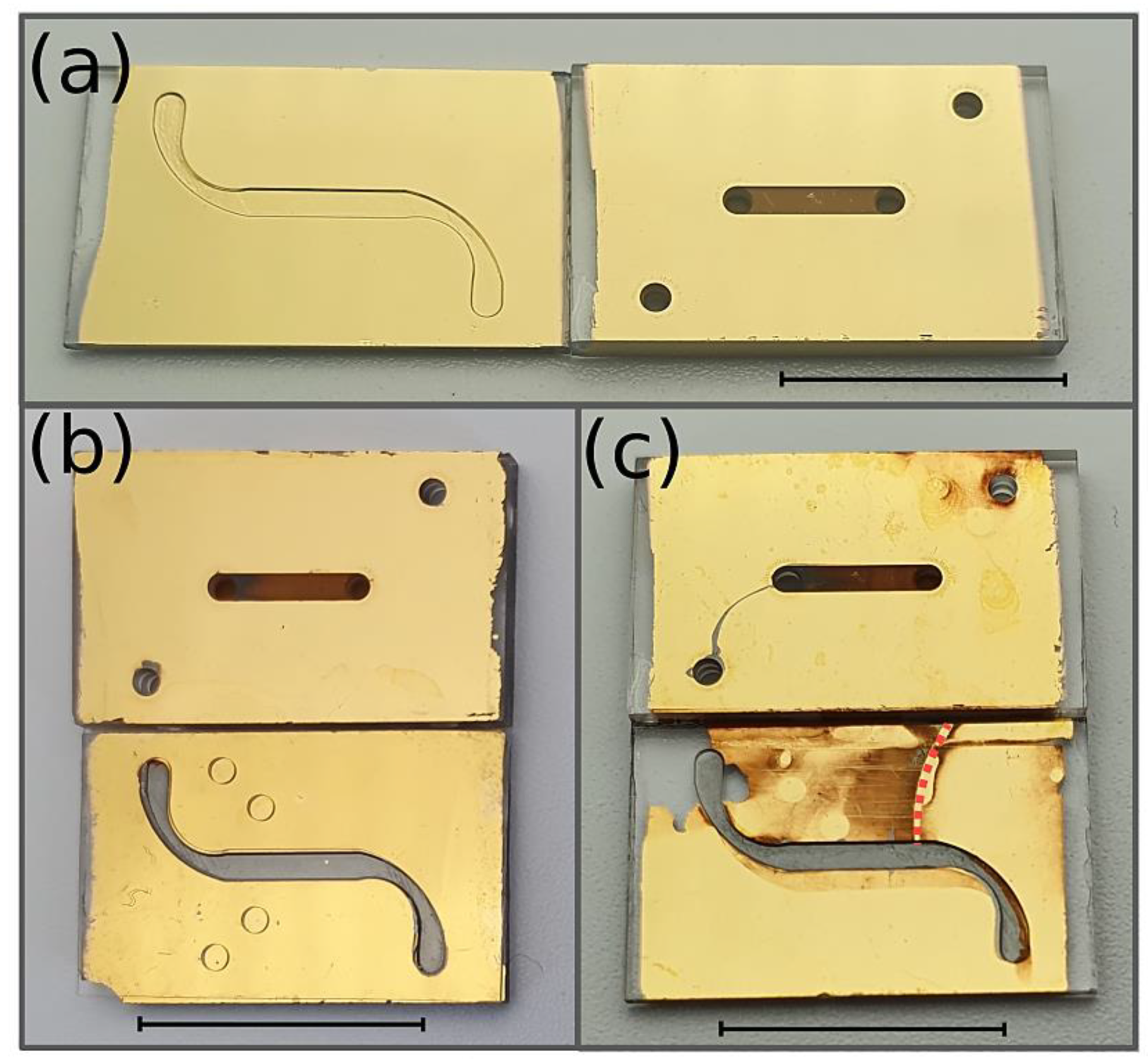 Pharmaceutics 14 01451 g008 550