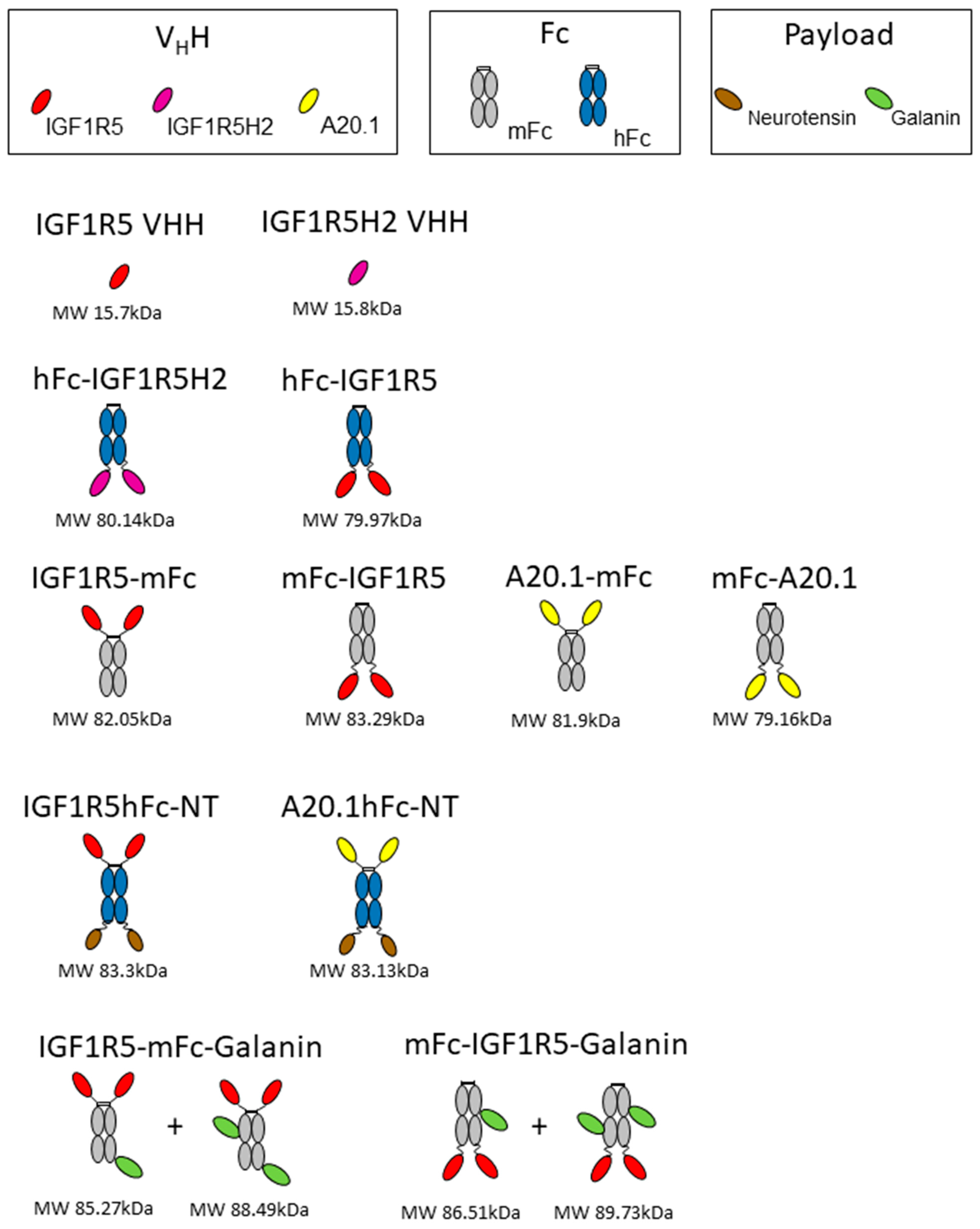 Pharmaceutics 14 01452 g001
