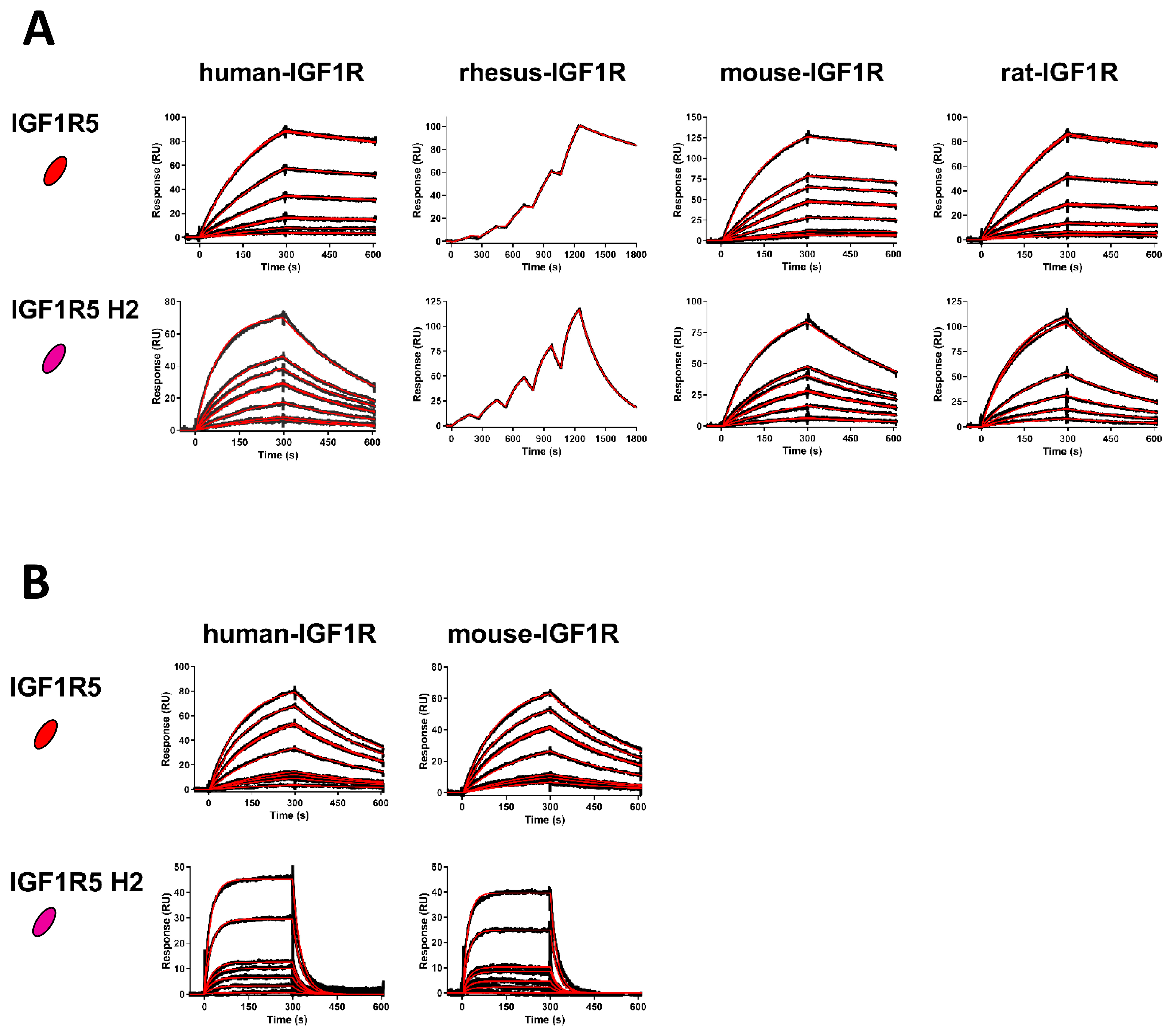 Pharmaceutics 14 01452 g002
