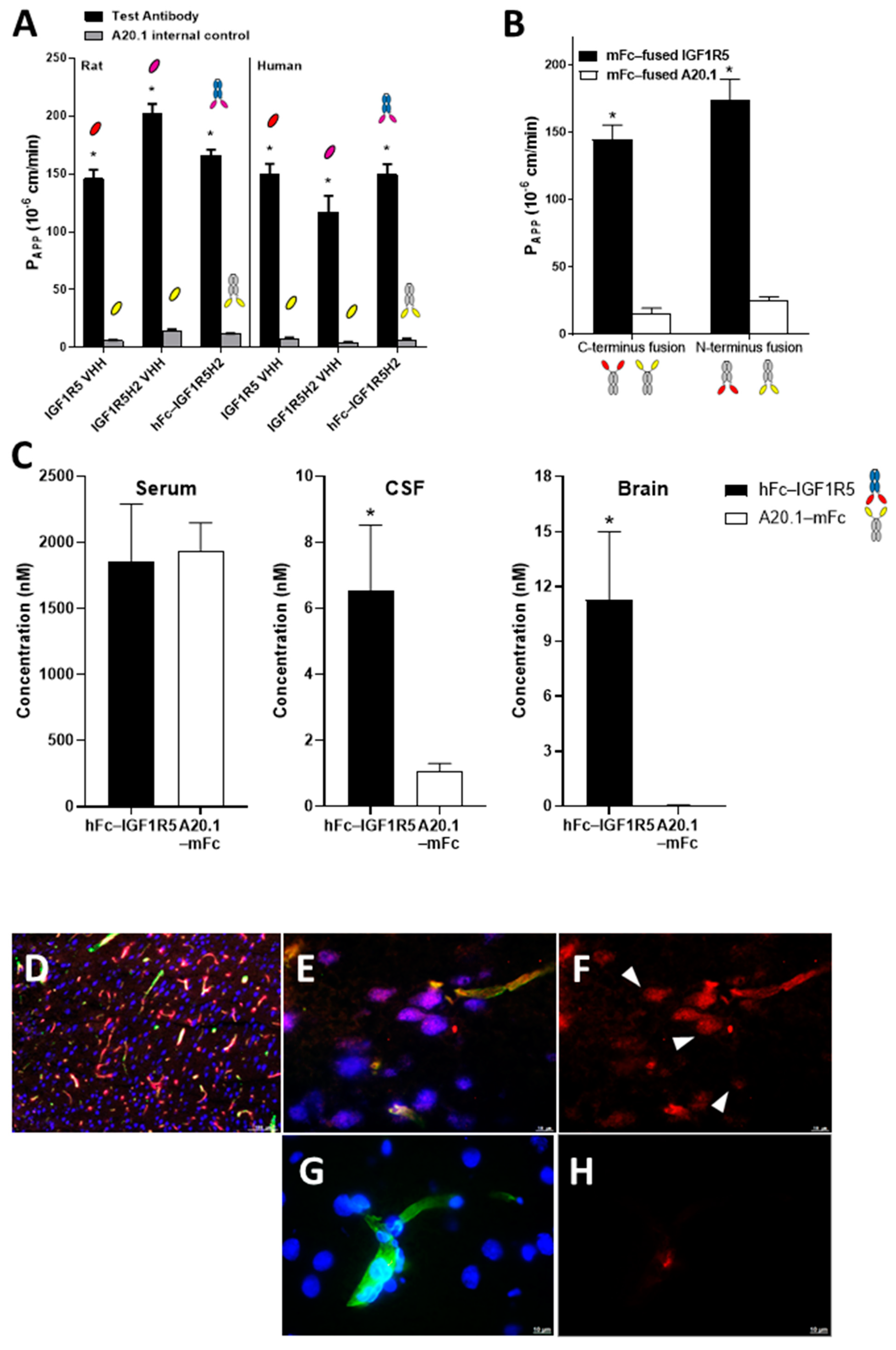 Pharmaceutics 14 01452 g003