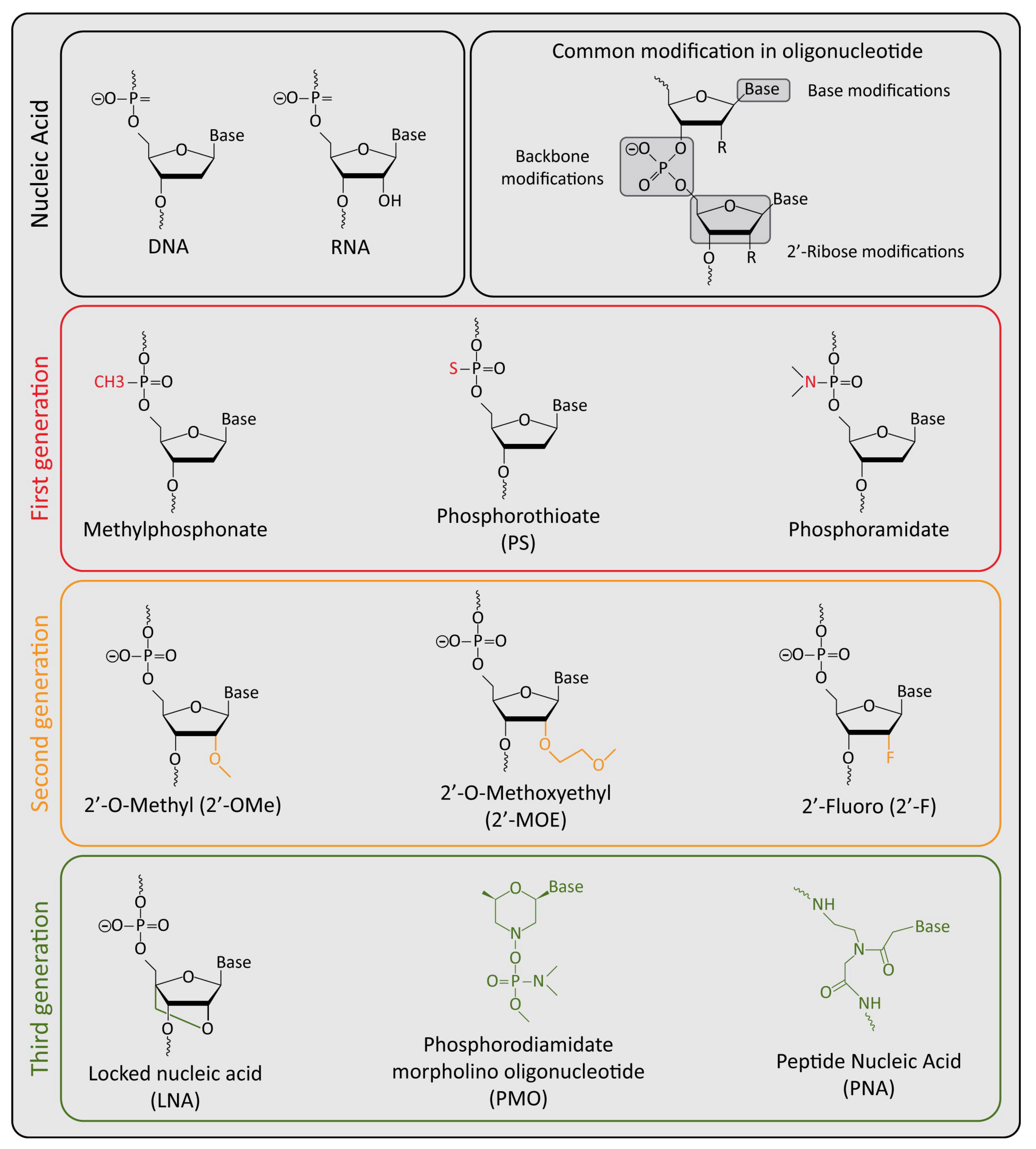 Pharmaceutics 14 01453 g002