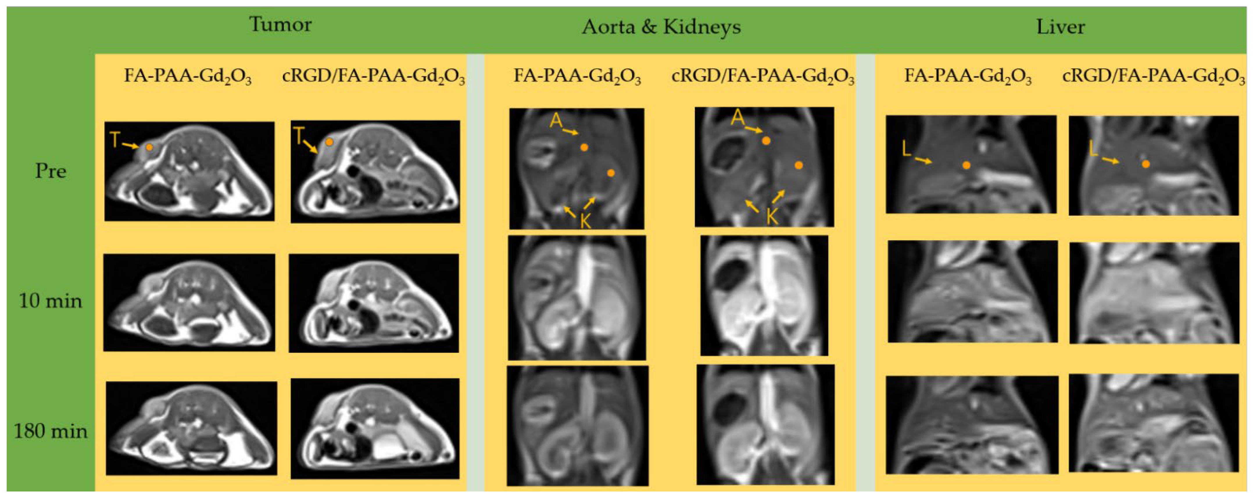 Pharmaceutics 14 01458 g008