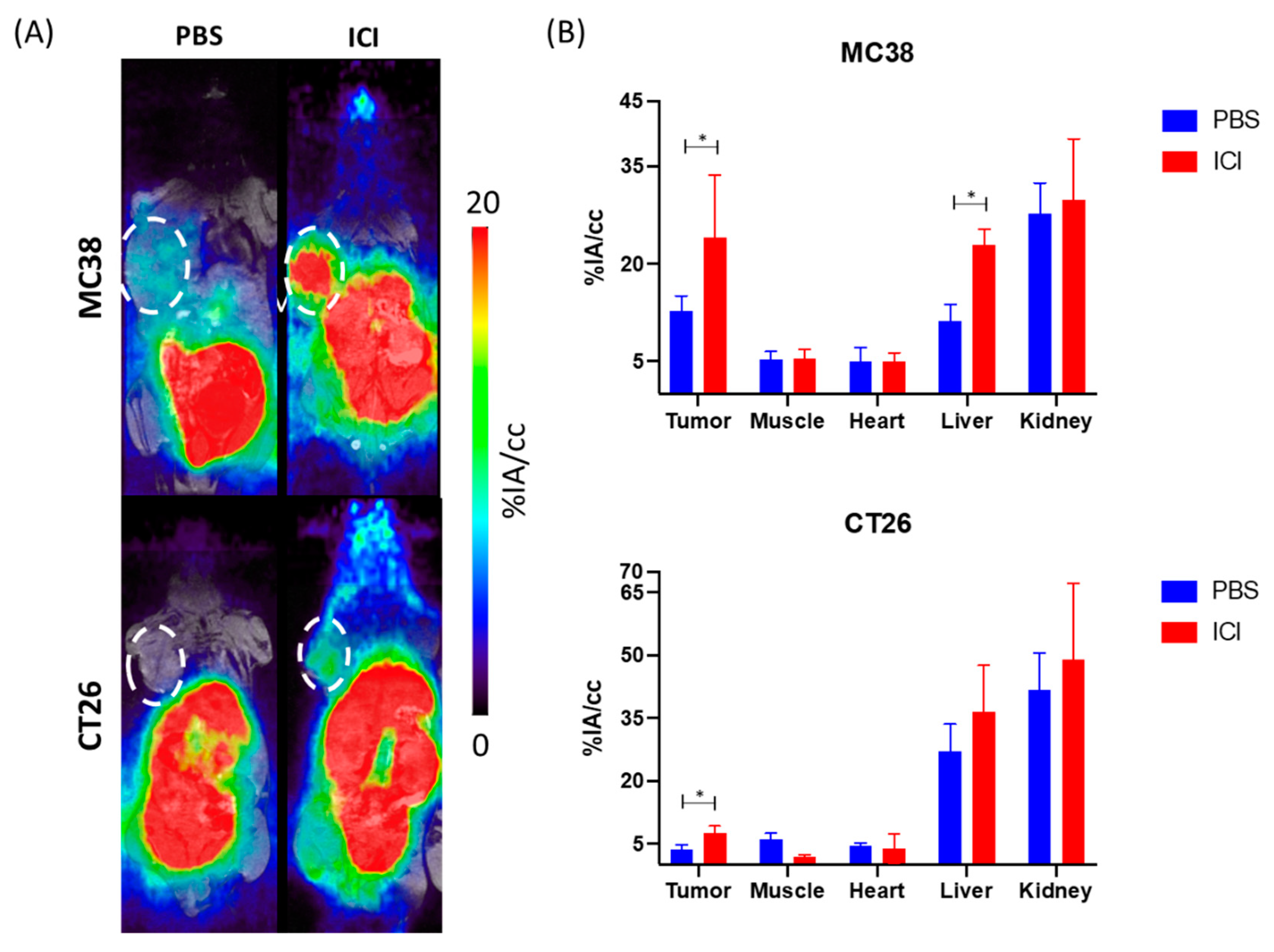 Pharmaceutics 14 01460 g001 550