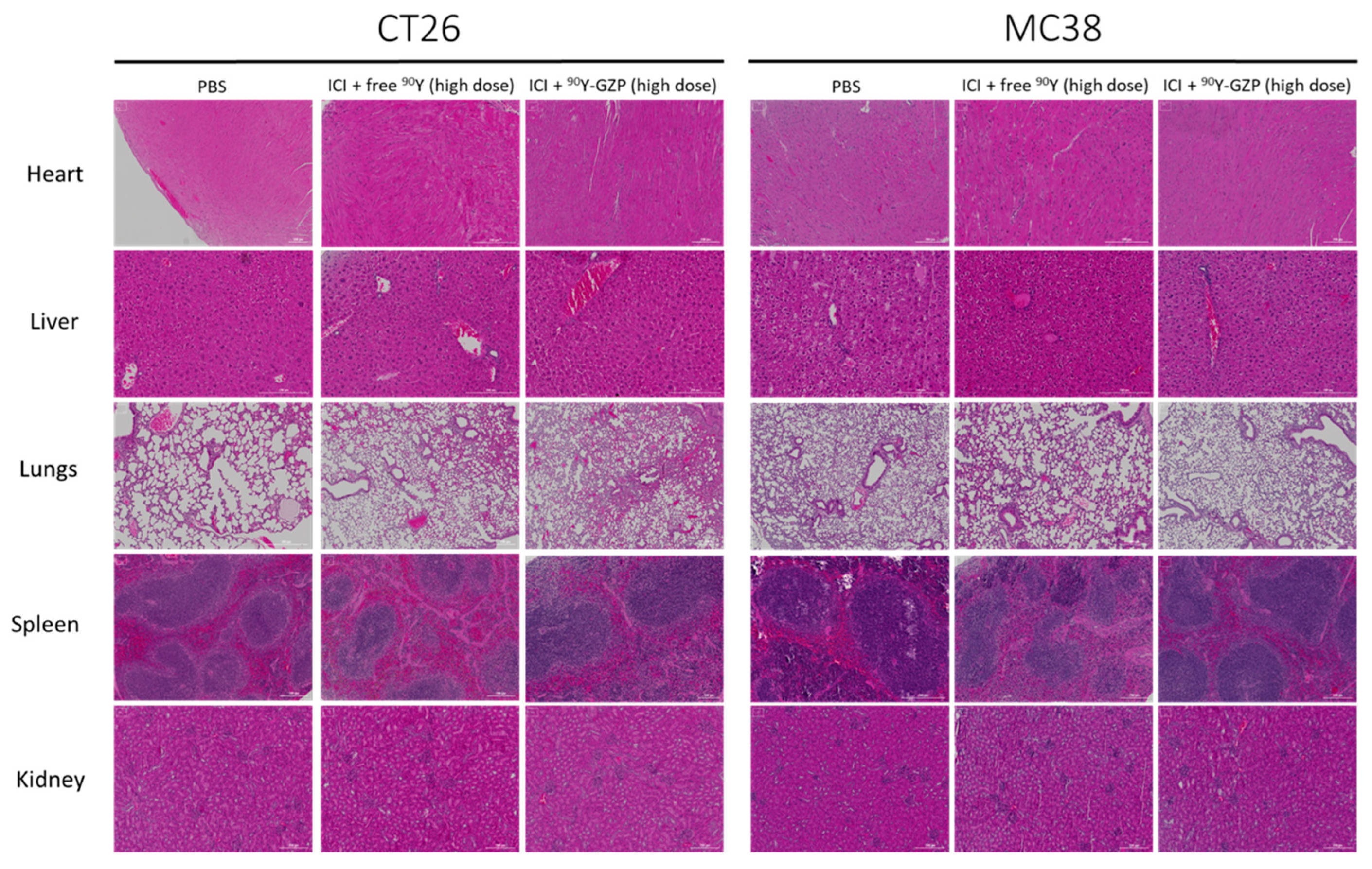 Pharmaceutics 14 01460 g004 550
