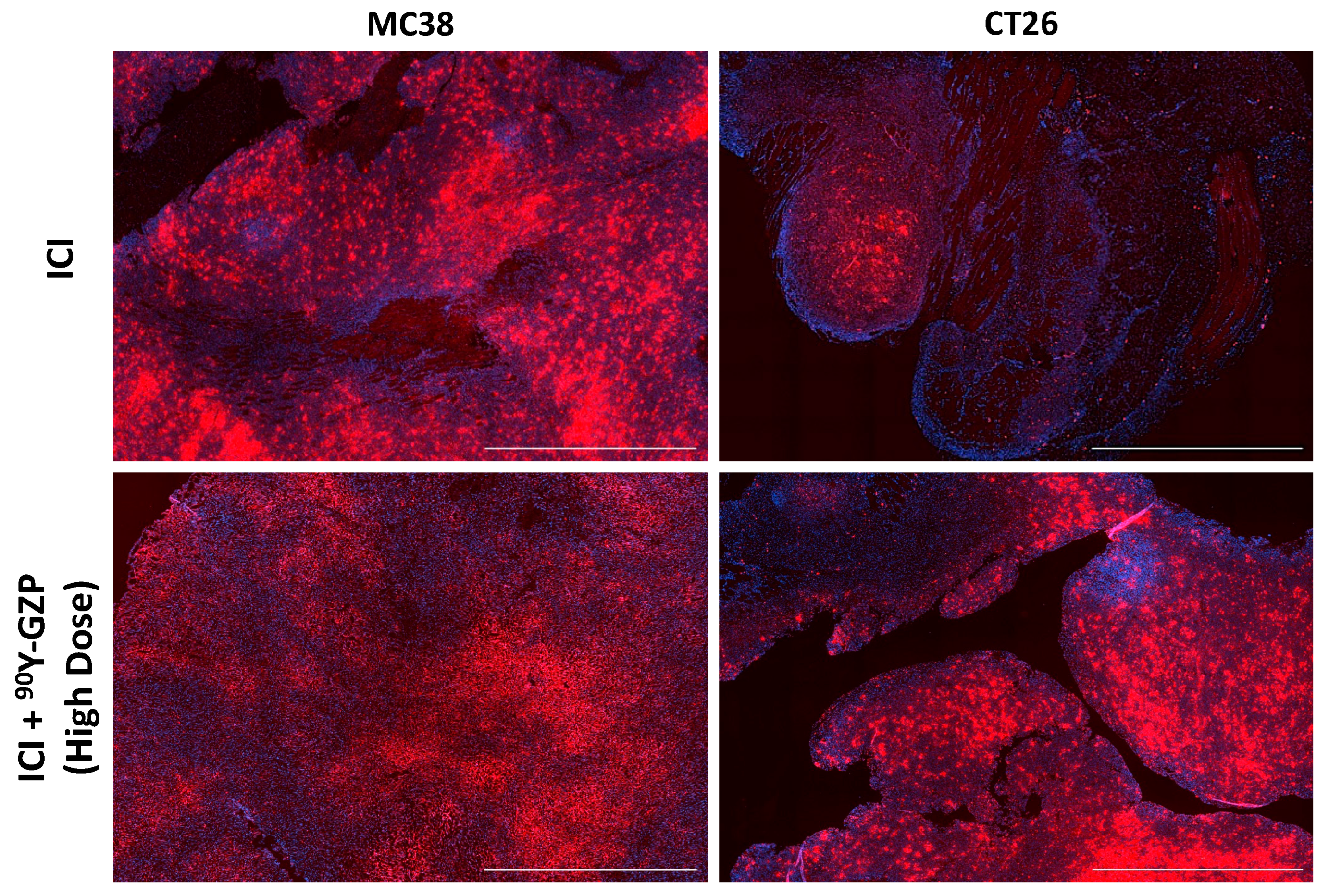 Pharmaceutics 14 01460 g005 550