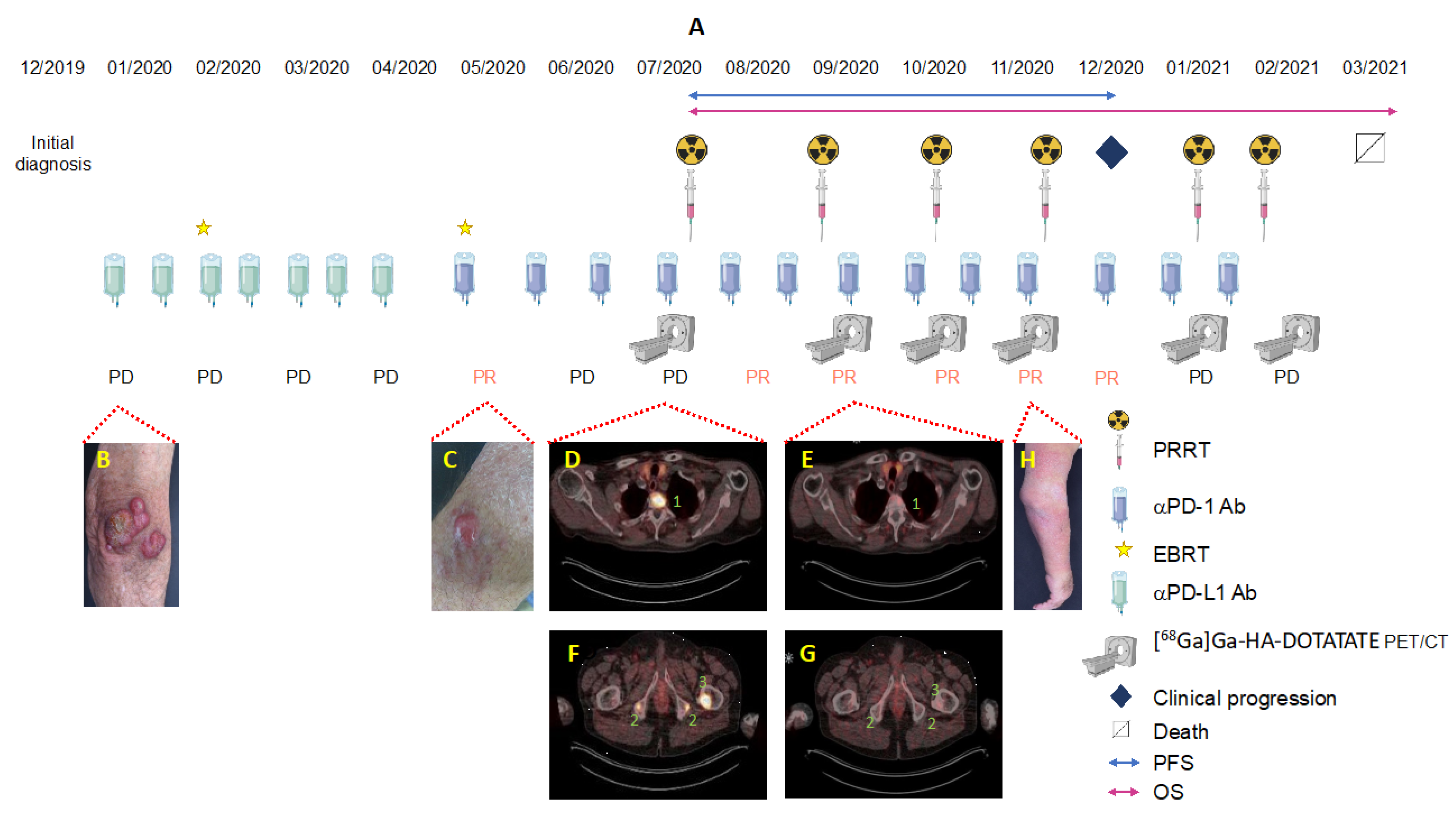Pharmaceutics 14 01466 g002