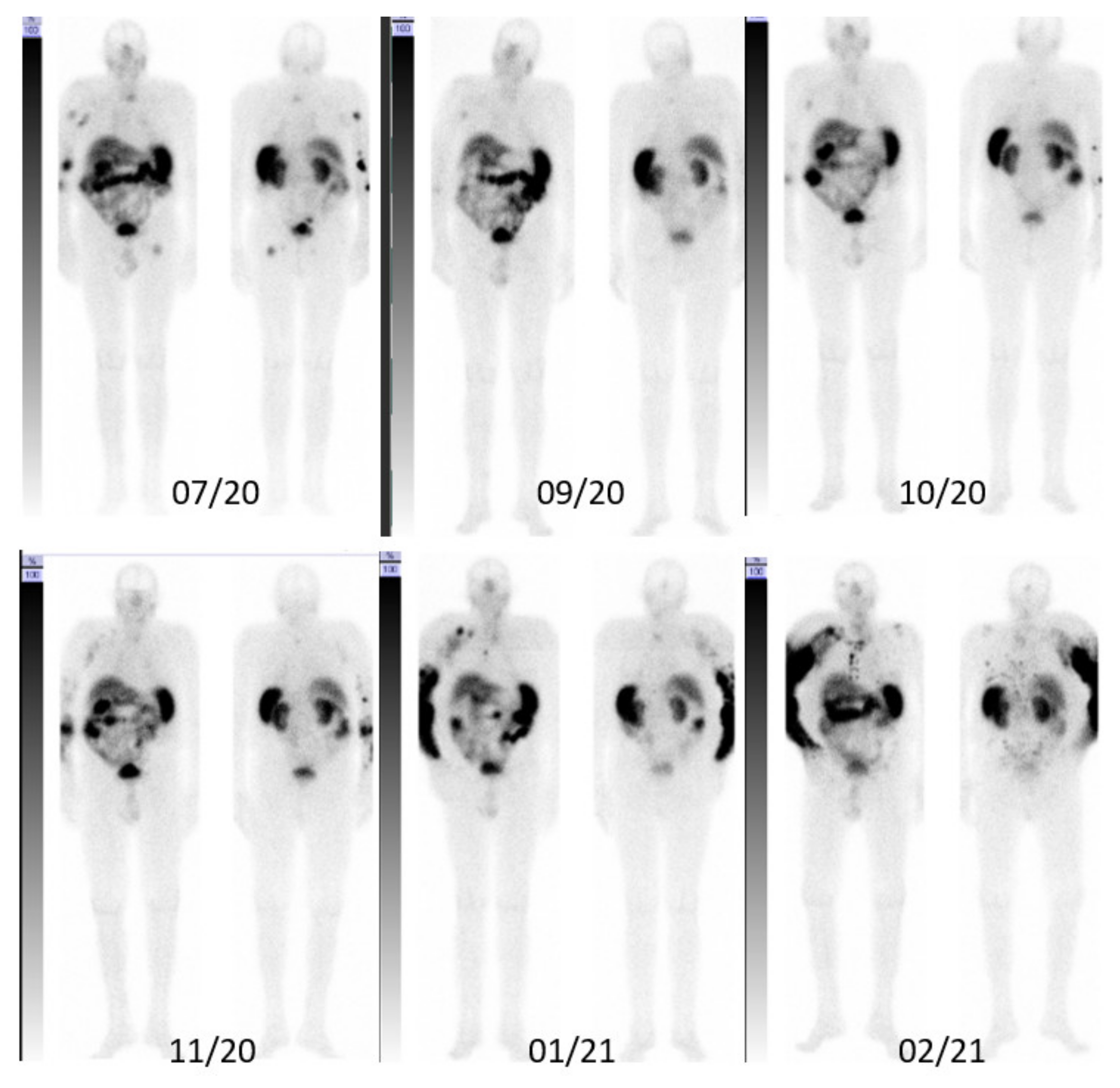 Pharmaceutics 14 01466 g003
