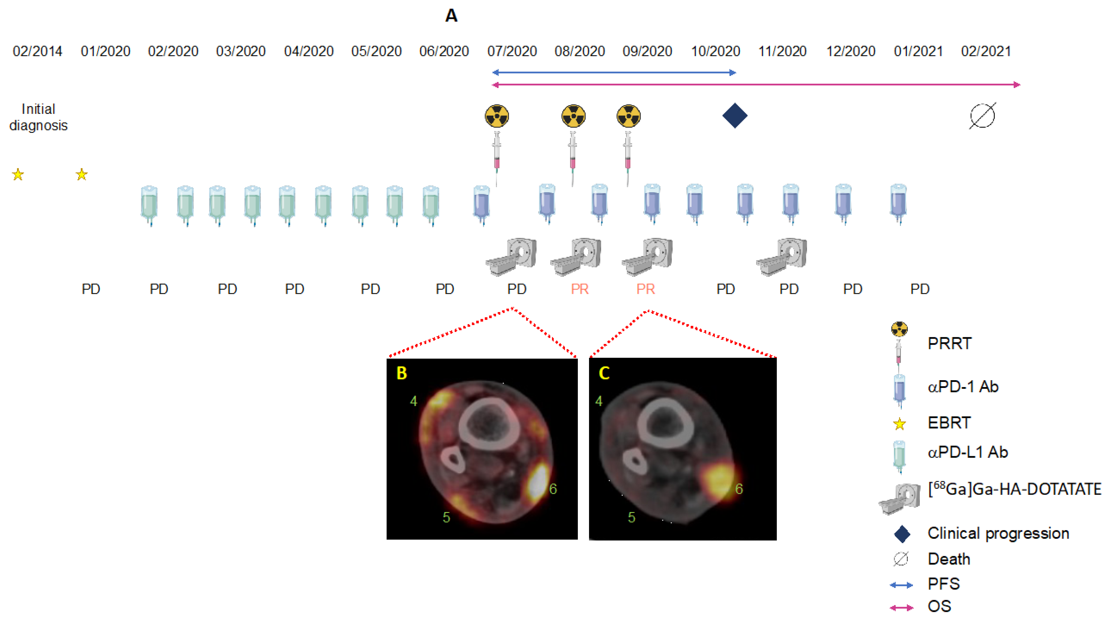 Pharmaceutics 14 01466 g004