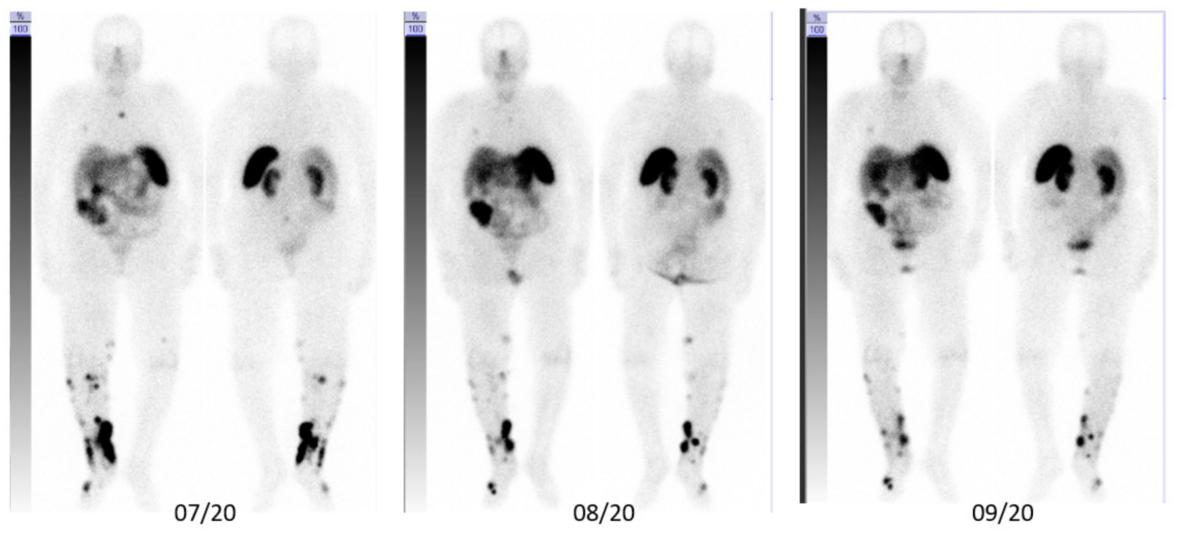 Pharmaceutics 14 01466 g005