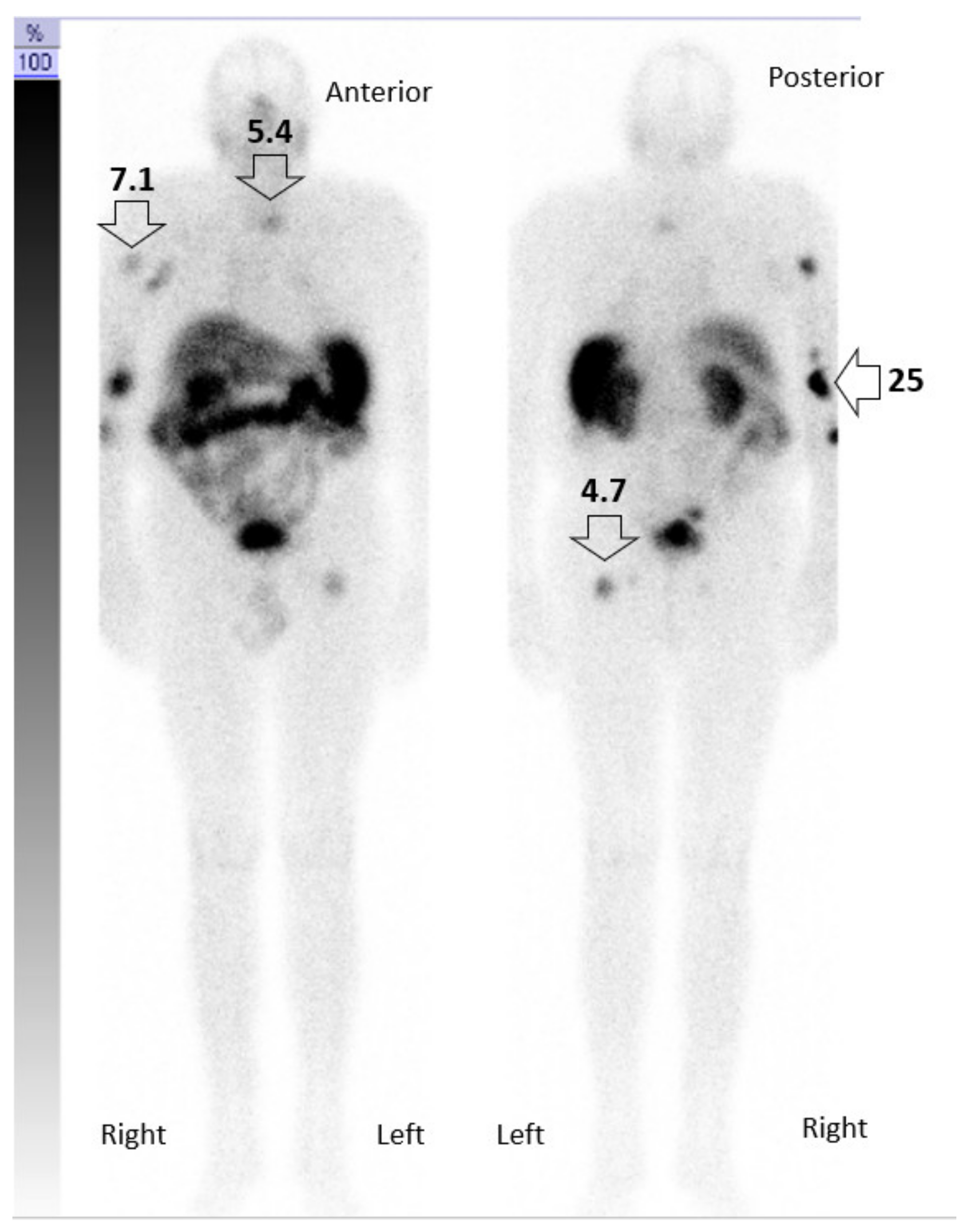 Pharmaceutics 14 01466 g006