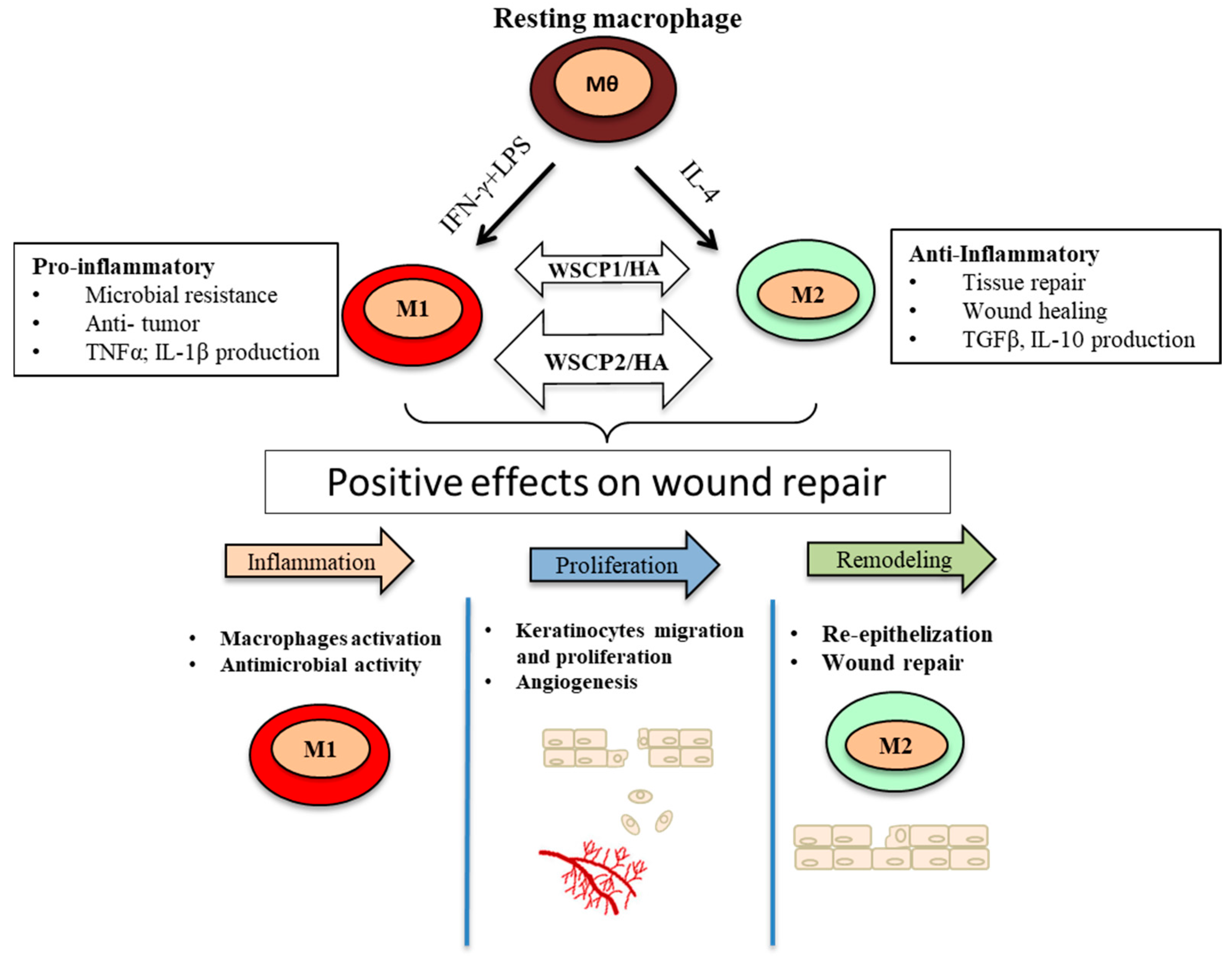 Pharmaceutics 14 01468 g008 550