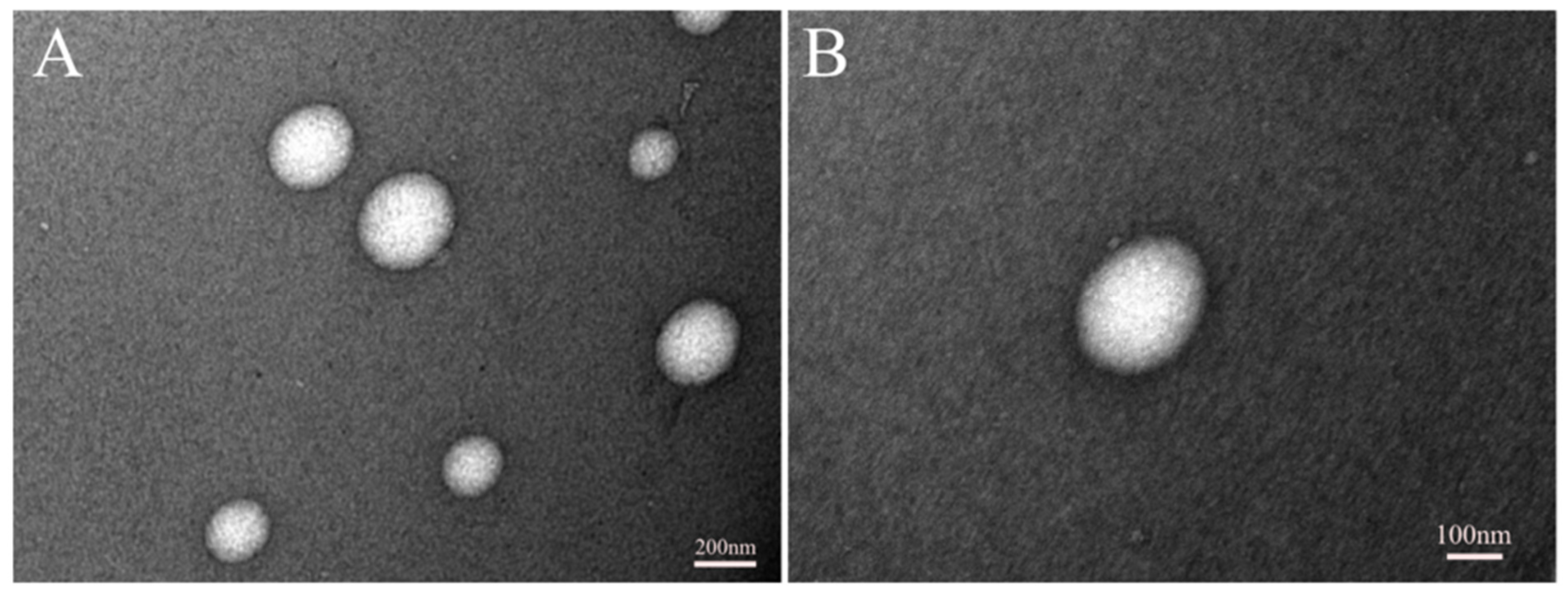 Pharmaceutics 14 01470 g001
