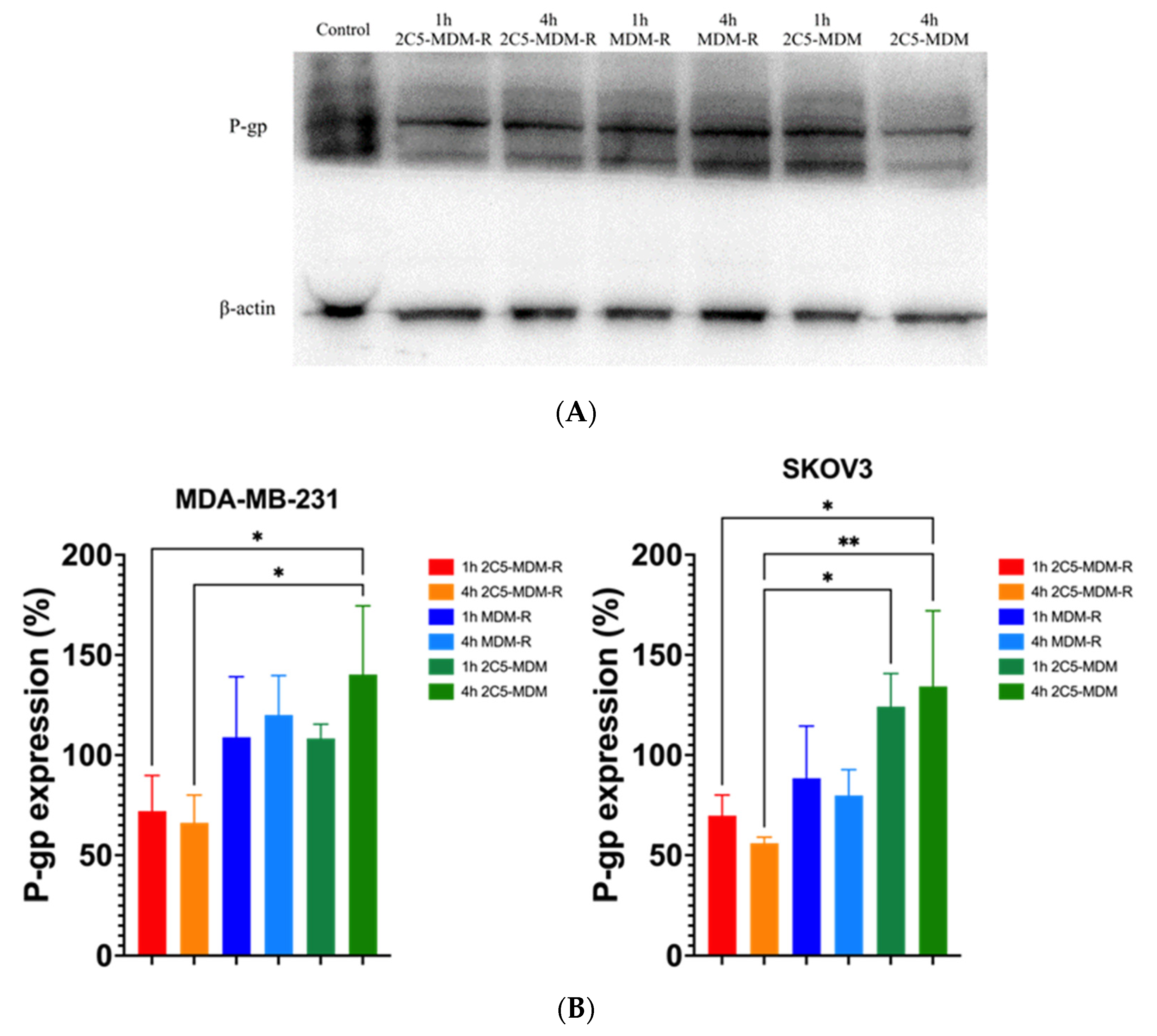 Pharmaceutics 14 01470 g005