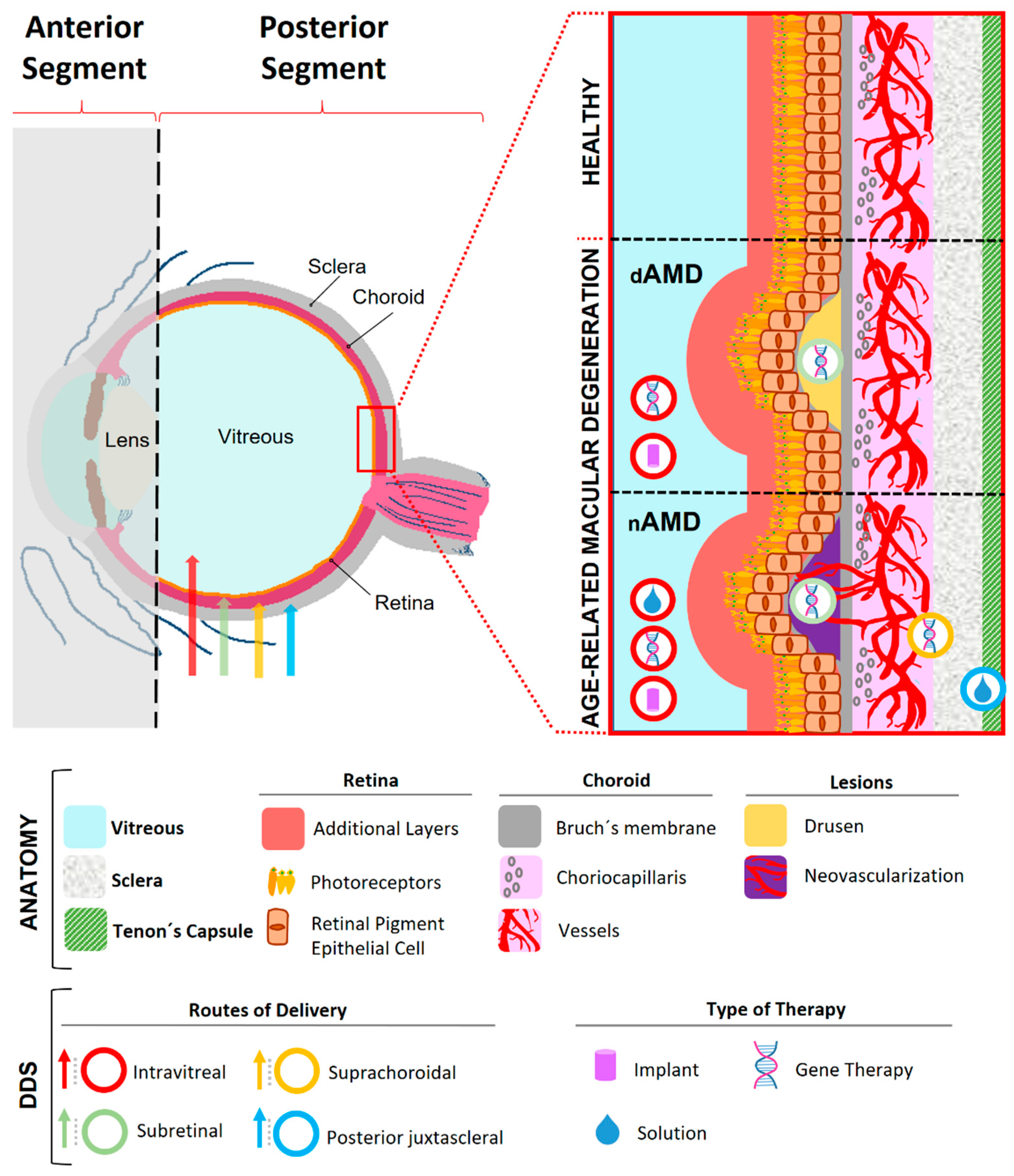 Pharmaceutics 14 01473 g001 550