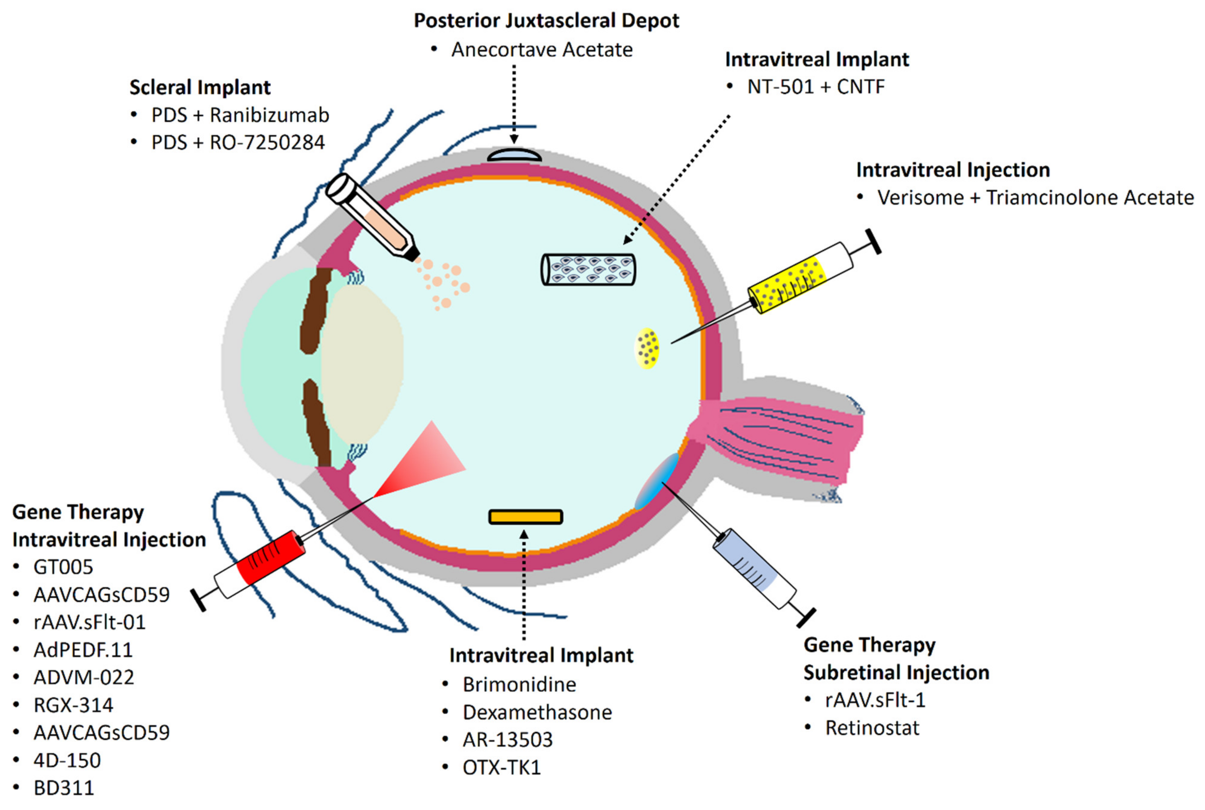 Pharmaceutics 14 01473 g002 550