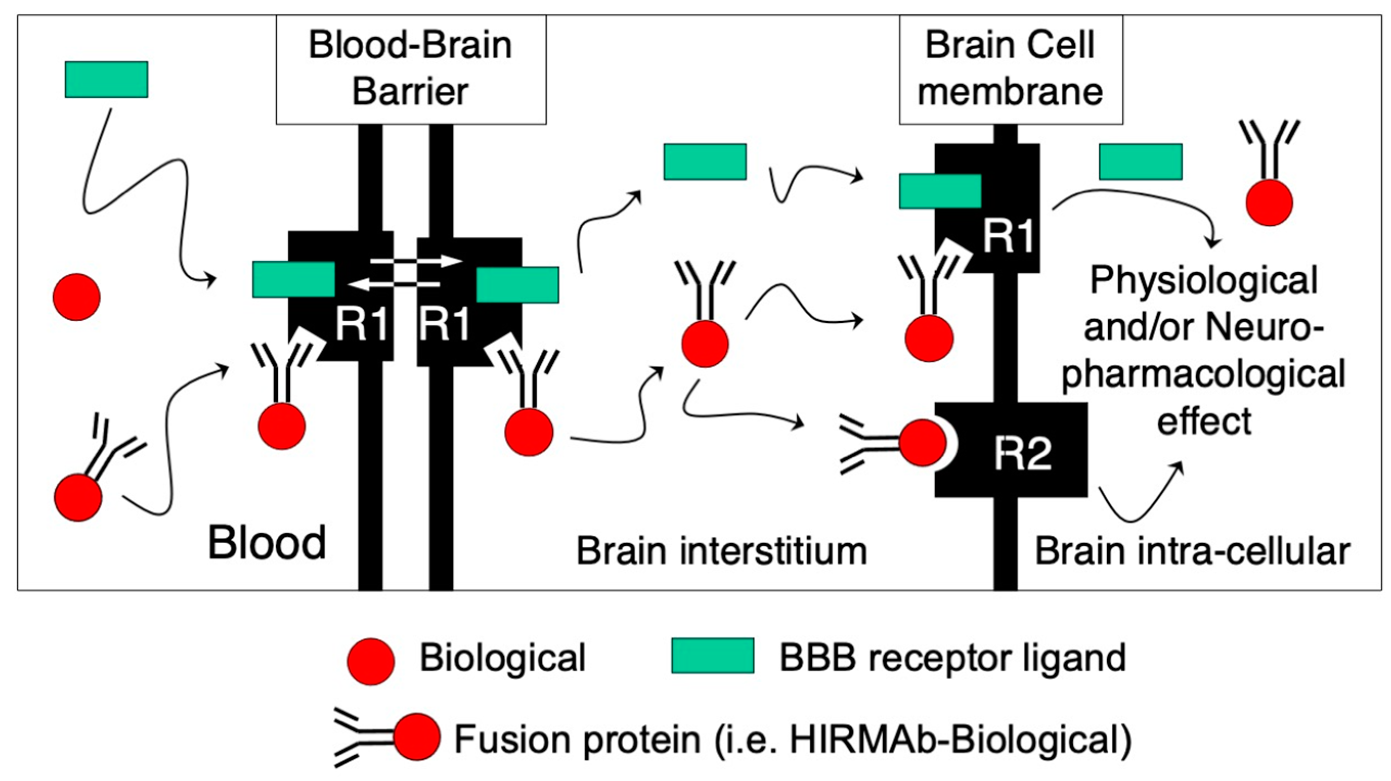 Pharmaceutics 14 01476 g001
