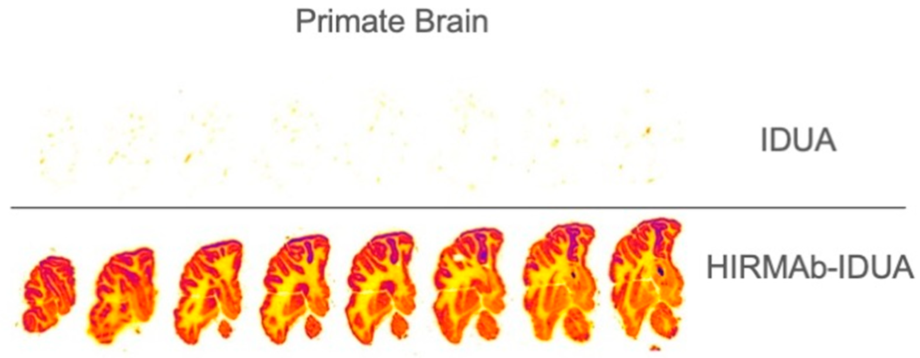 Pharmaceutics 14 01476 g003