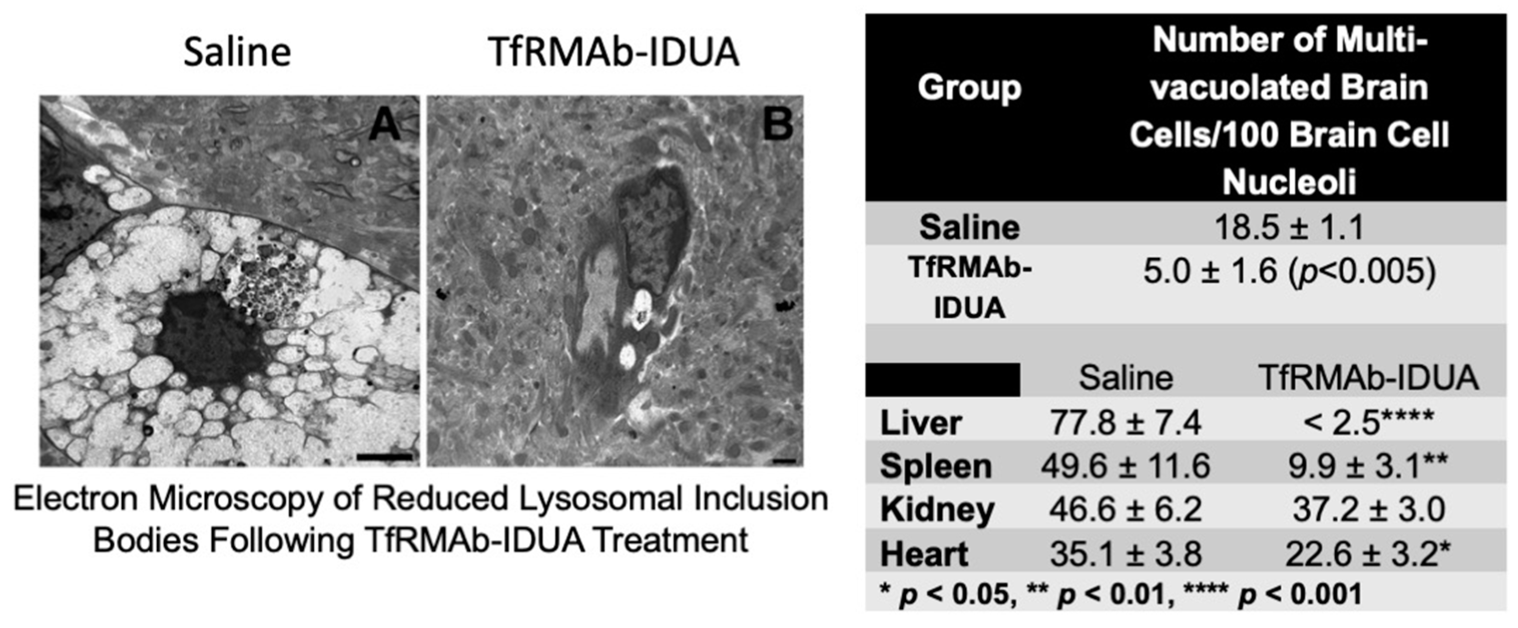 Pharmaceutics 14 01476 g004