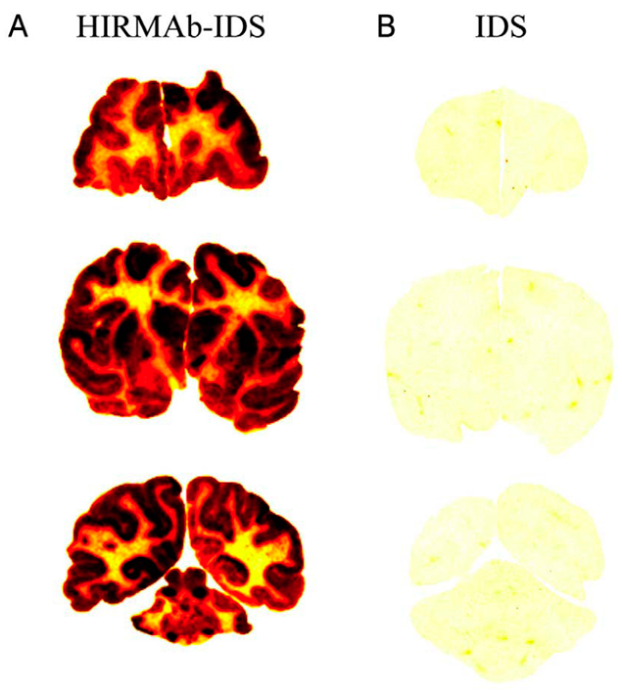 Pharmaceutics 14 01476 g005