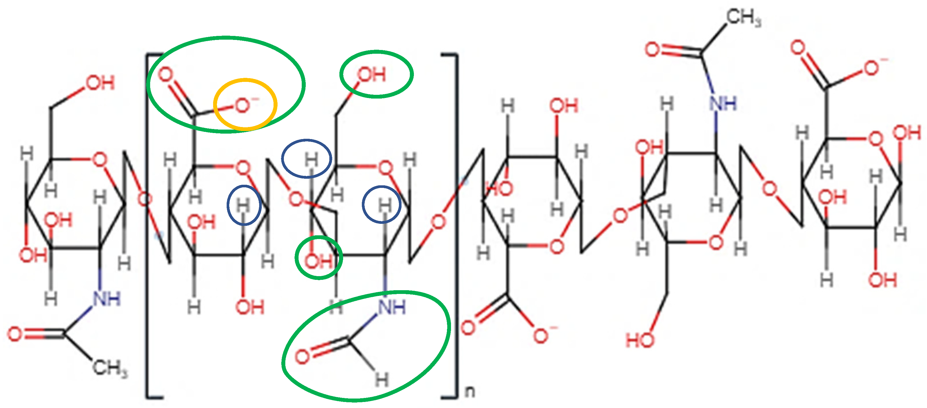 Pharmaceutics 14 01479 g001