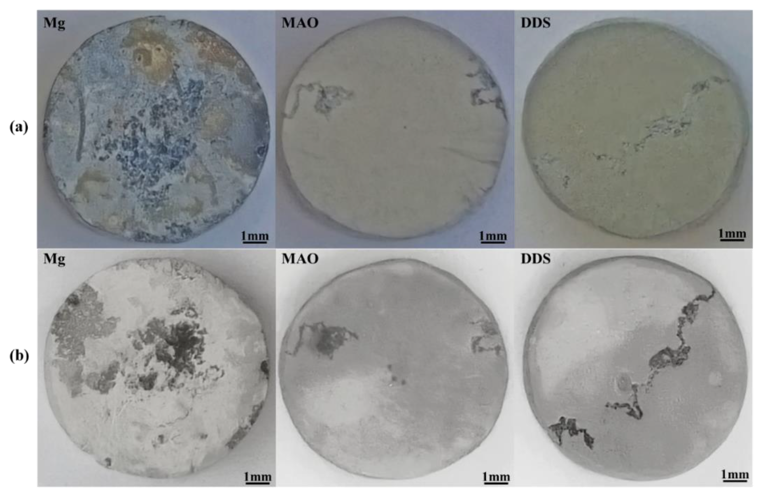 Pharmaceutics 14 01481 g004 550