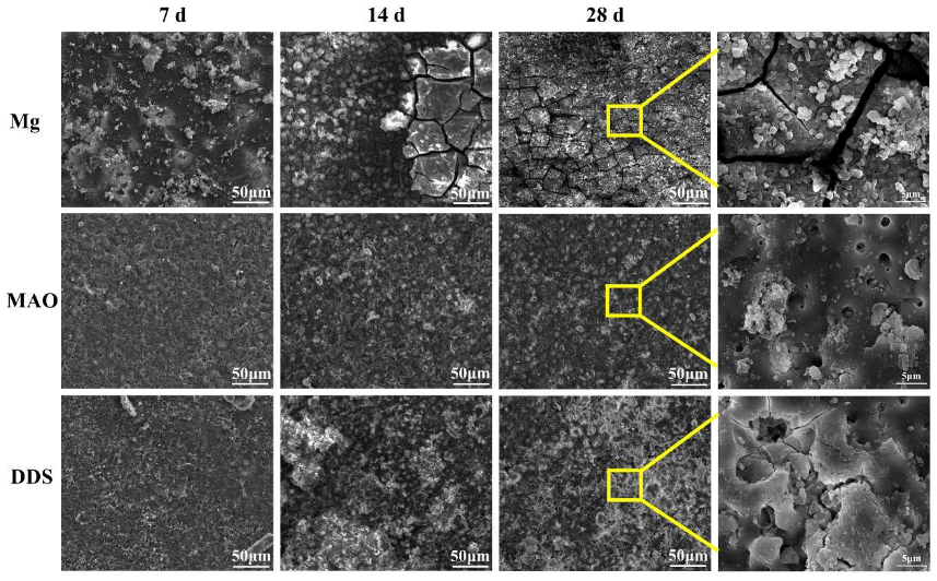 Pharmaceutics 14 01481 g005 550