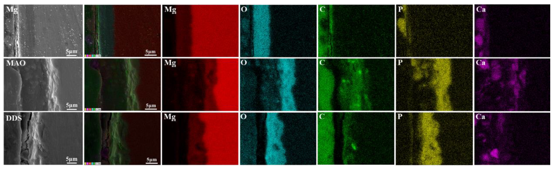 Pharmaceutics 14 01481 g006 550