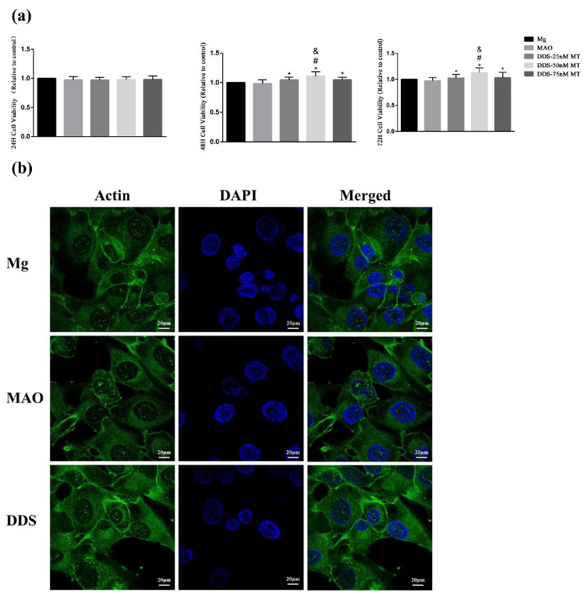 Pharmaceutics 14 01481 g009 550