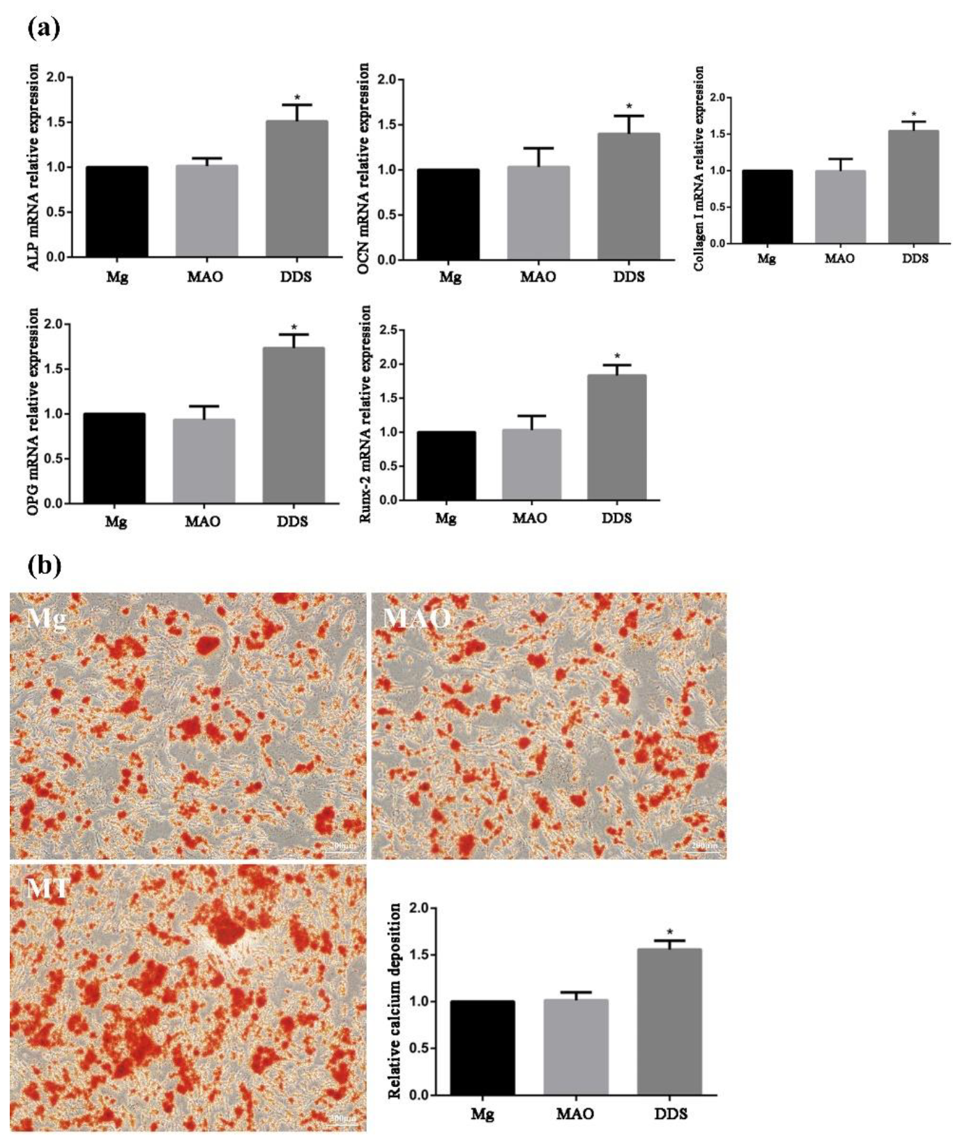 Pharmaceutics 14 01481 g010 550