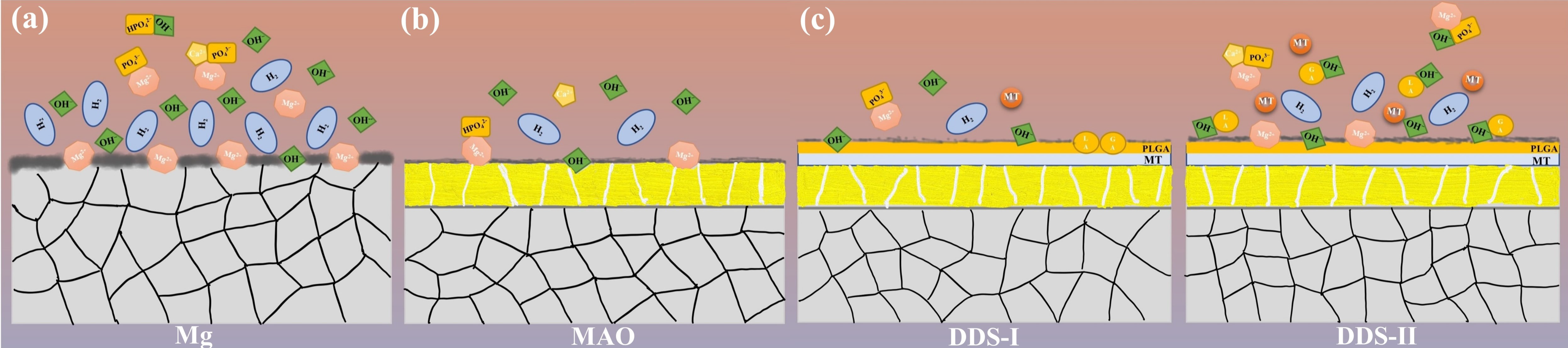 Pharmaceutics 14 01481 g012 550