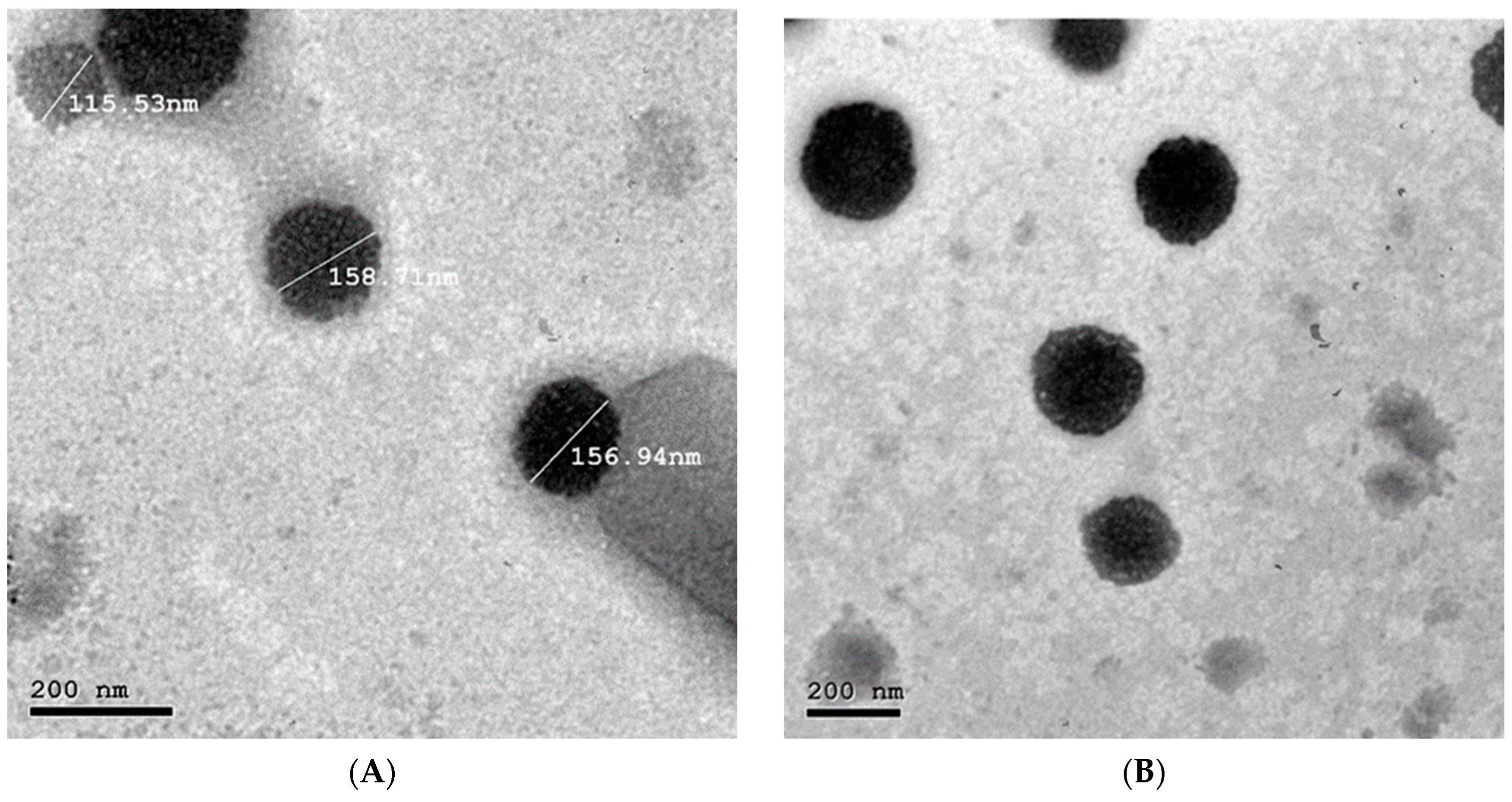 Pharmaceutics 14 01484 g006