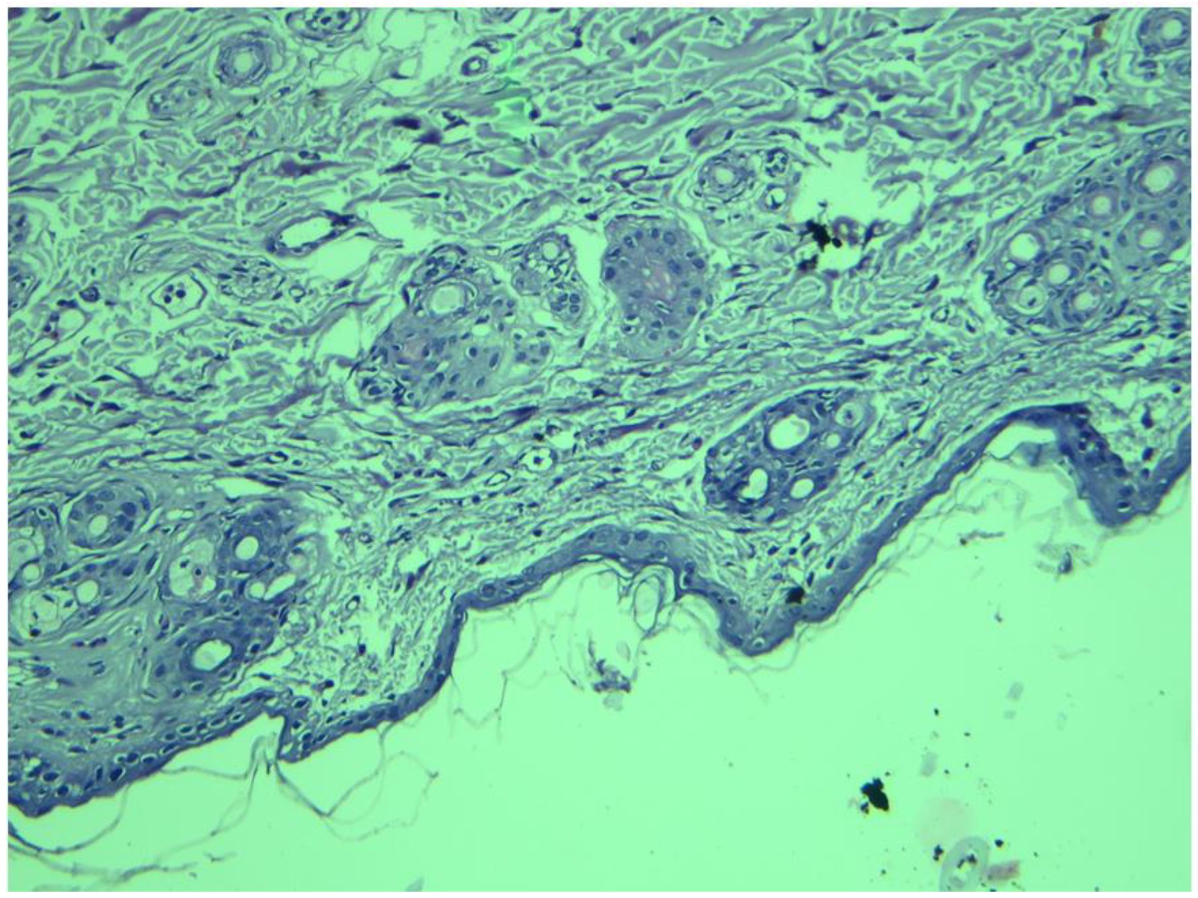 Pharmaceutics 14 01484 g009