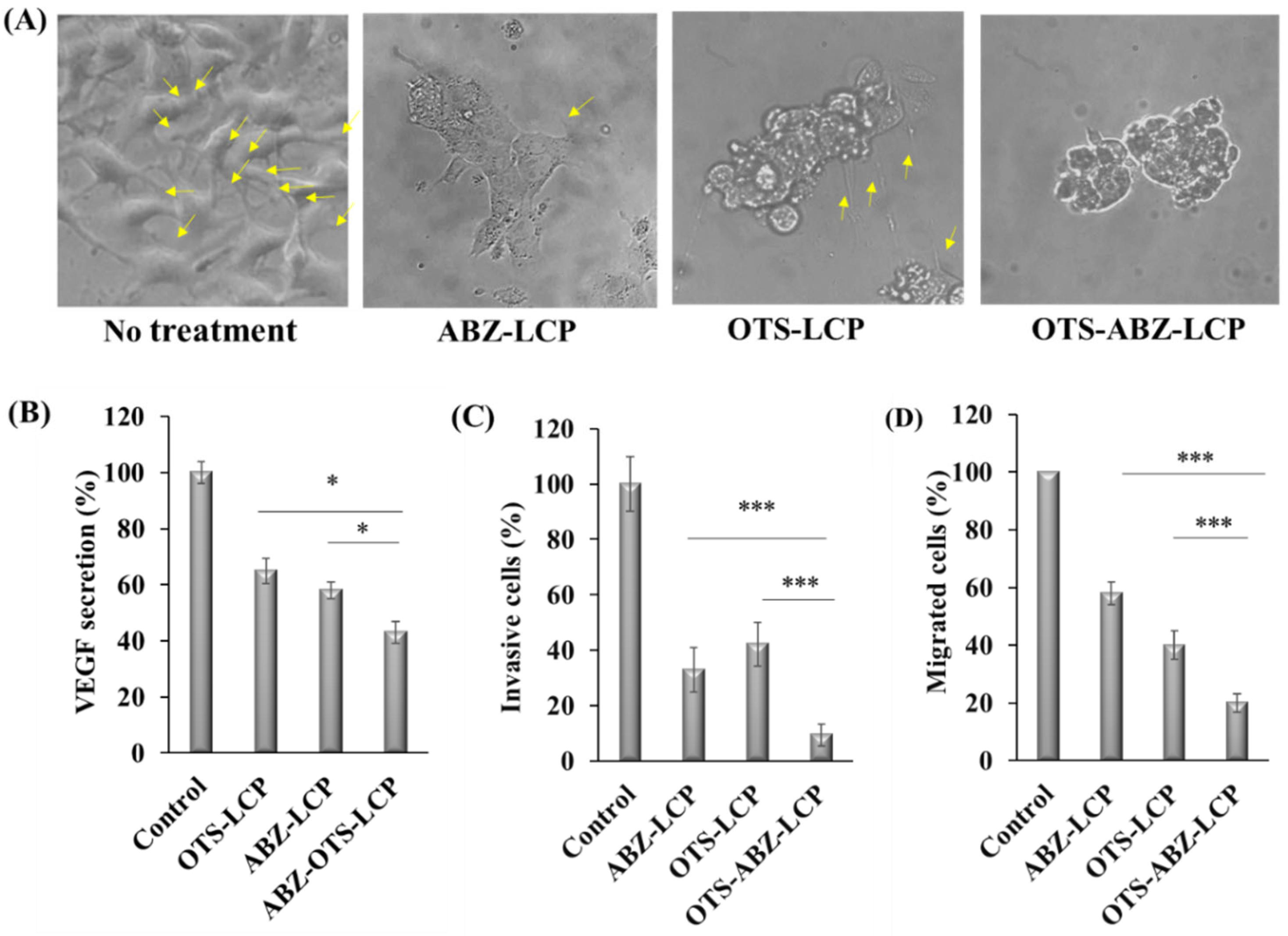 Pharmaceutics 14 01488 g004 Pharmaceutics 14 01488 g004