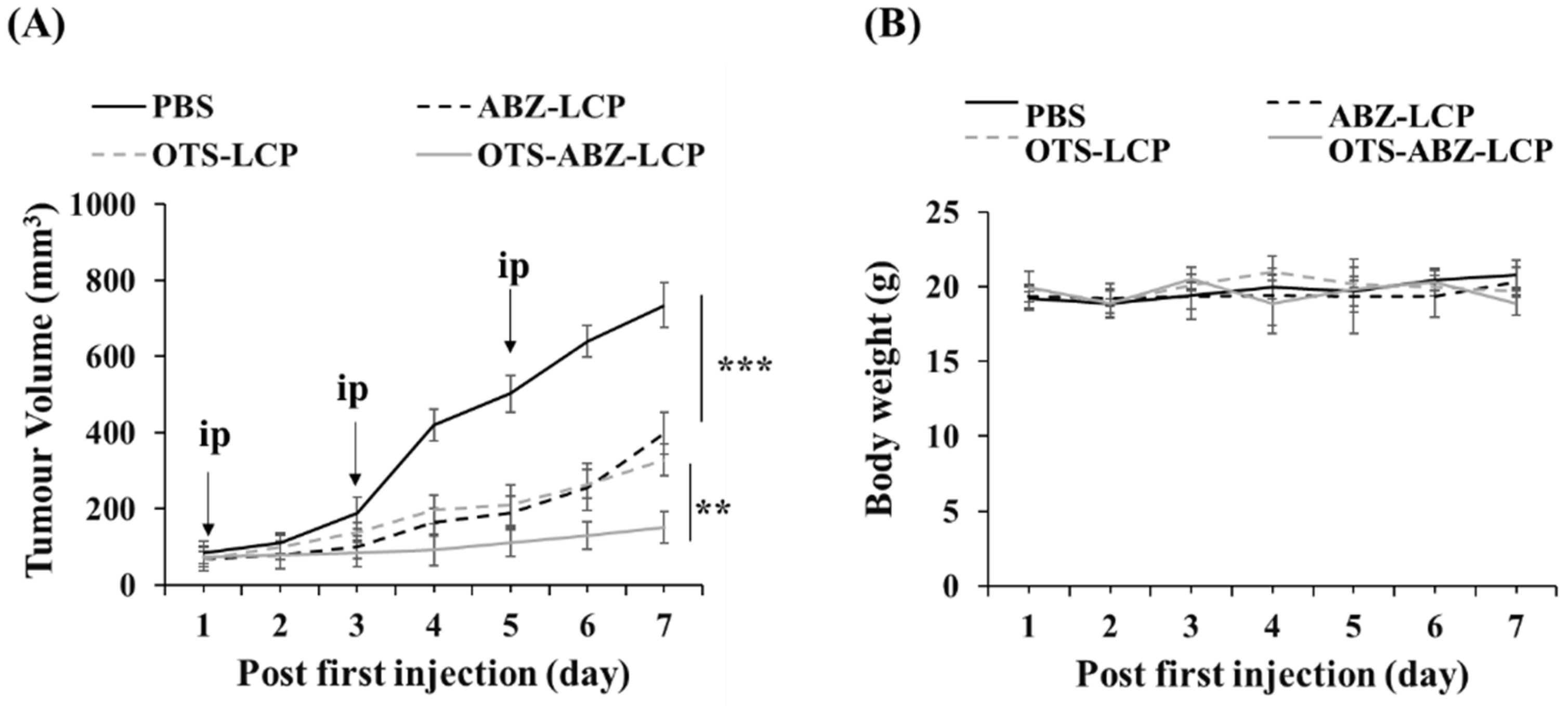 Pharmaceutics 14 01488 g005 Pharmaceutics 14 01488 g005