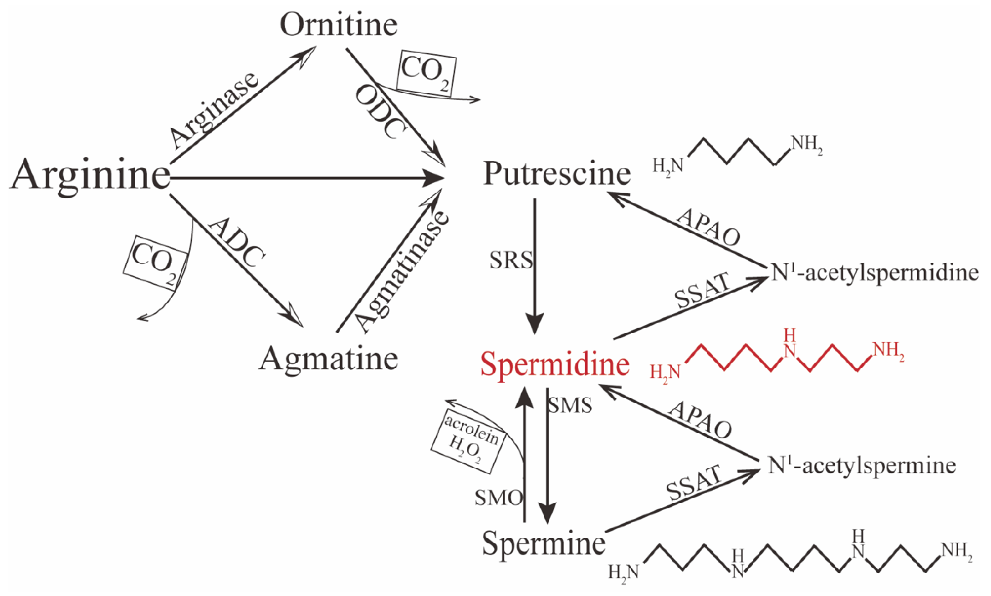 Pharmaceutics 14 01500 g001