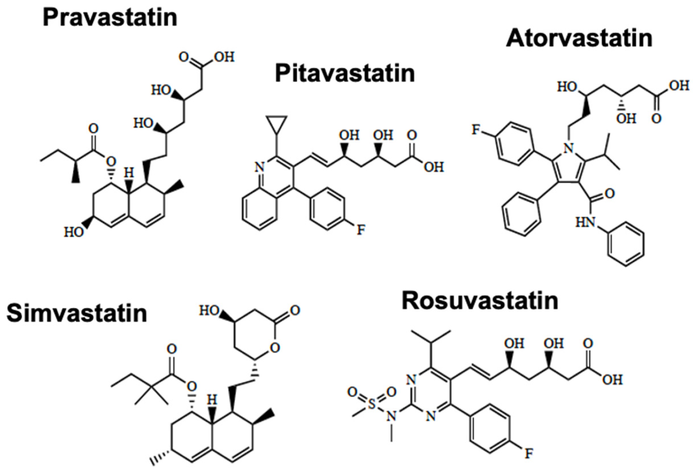 Pharmaceutics 14 01501 g003 Pharmaceutics 14 01501 g003